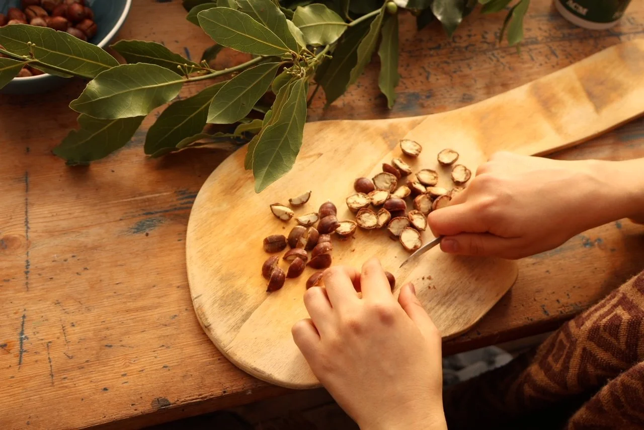 The Wild Biome Project