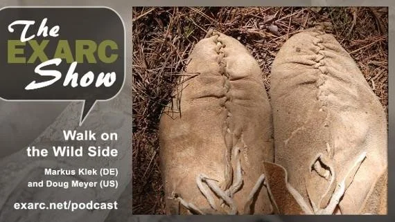 Walk on the Wild Side