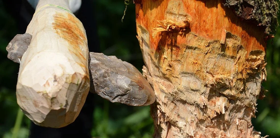 Material Culture Studies, Leiden University