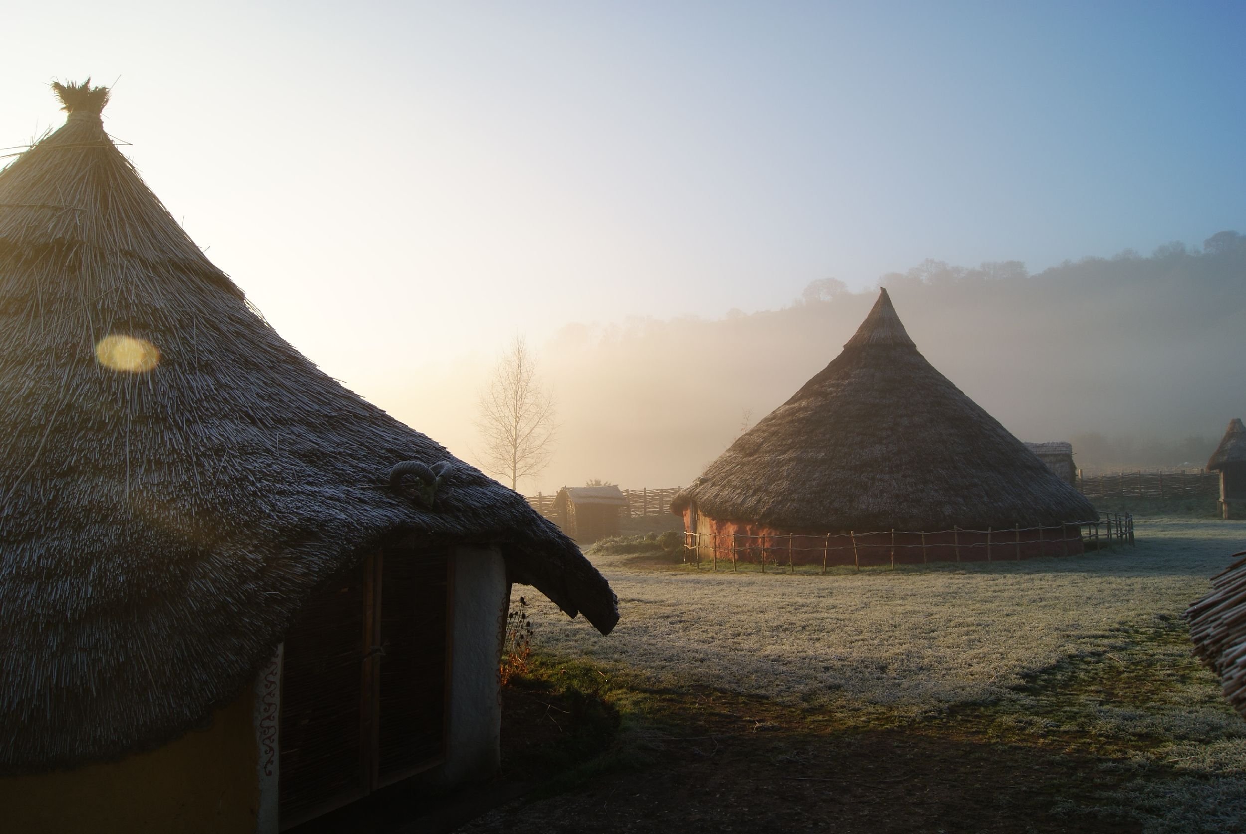 farm in the morning & reed bed 036.jpeg