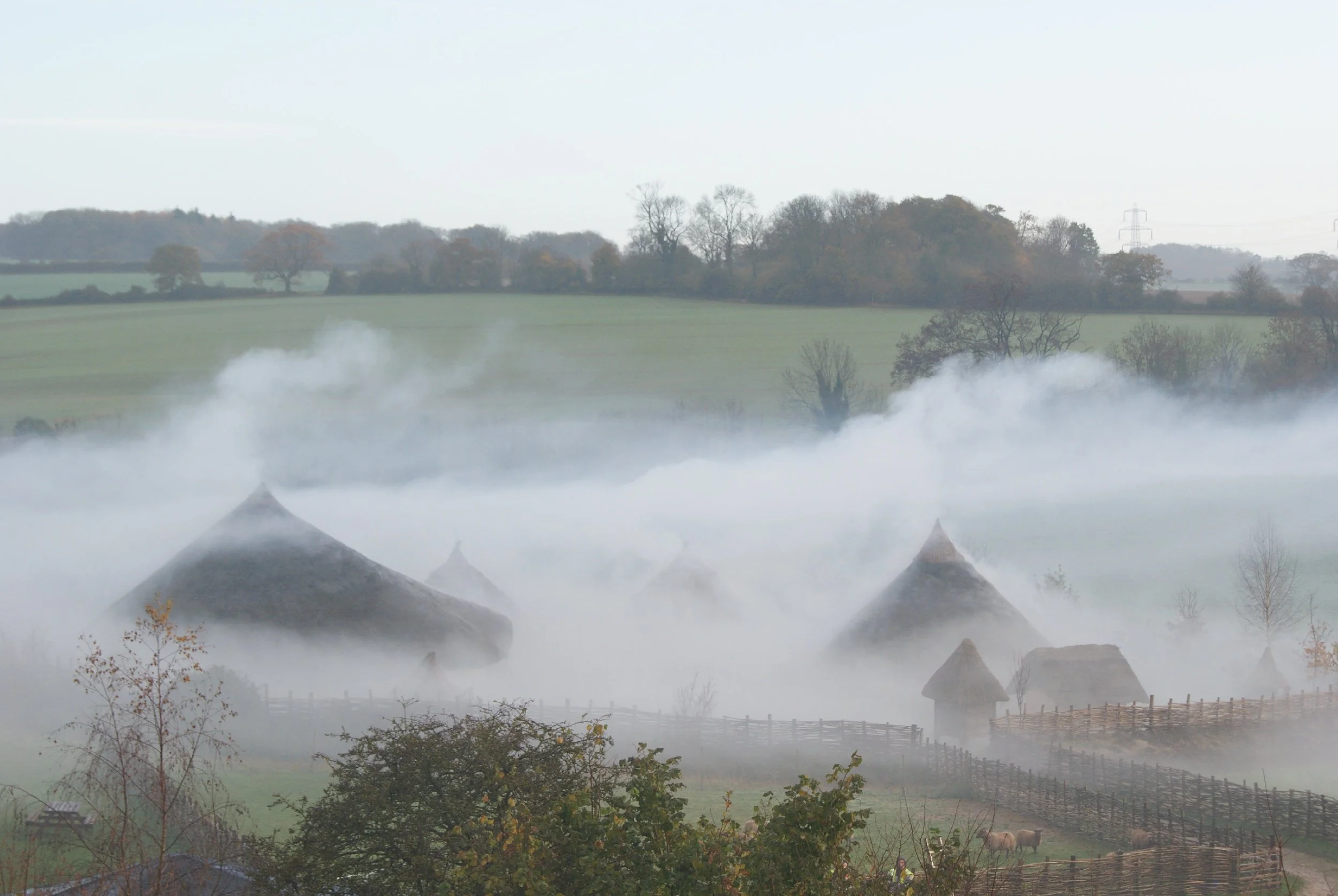 farm in the morning 002.jpeg