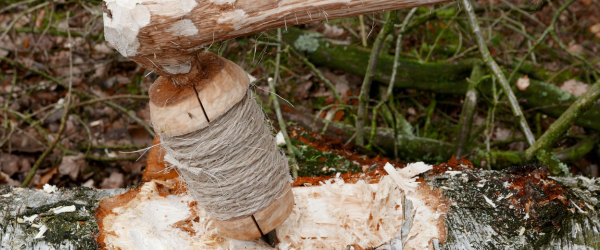 Call for Participation in Experimental Archaeology Research