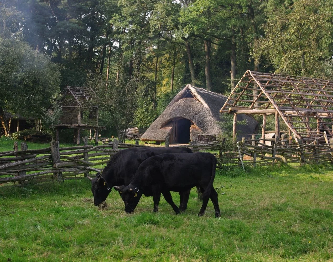 Bronzezeithof Uelsen