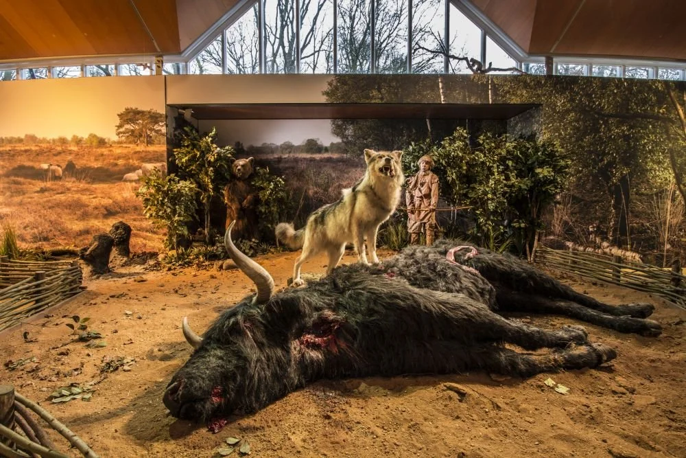 Landschap van de jagers-verzamelaars.jpg