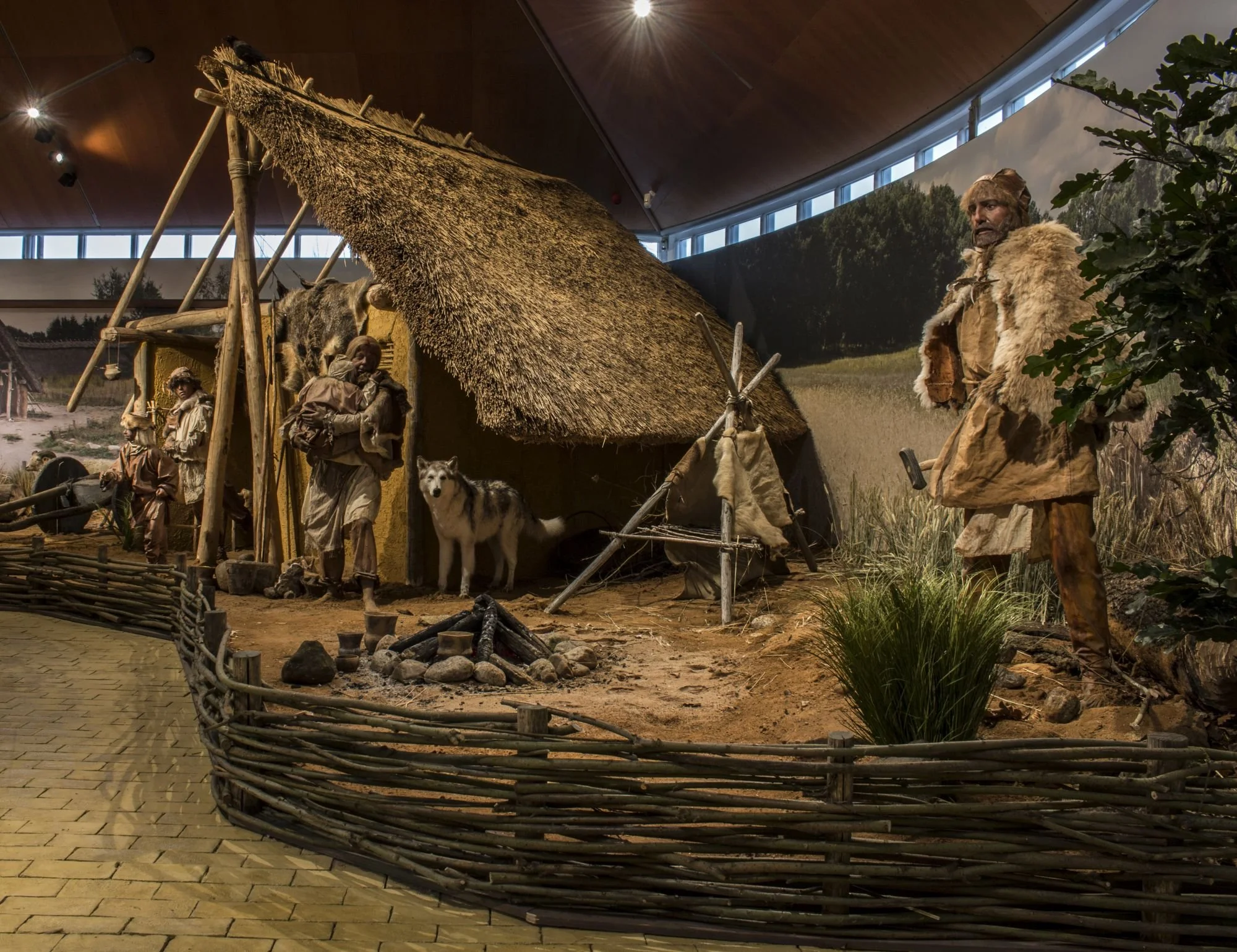 Hunebedbouwer in vernieuwde expositie-kl.jpg