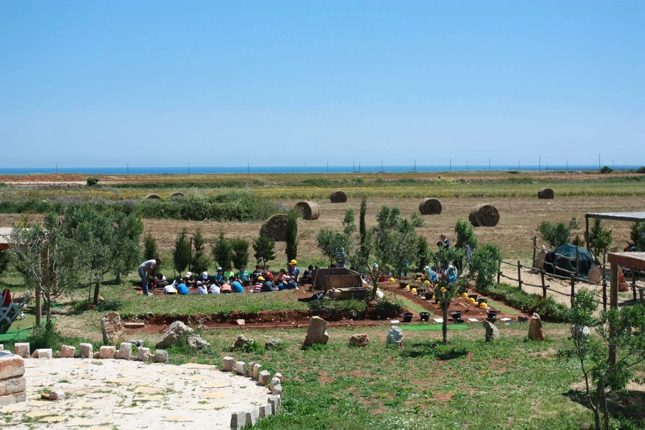 OKRA "Tutti i colori della preistoria"
