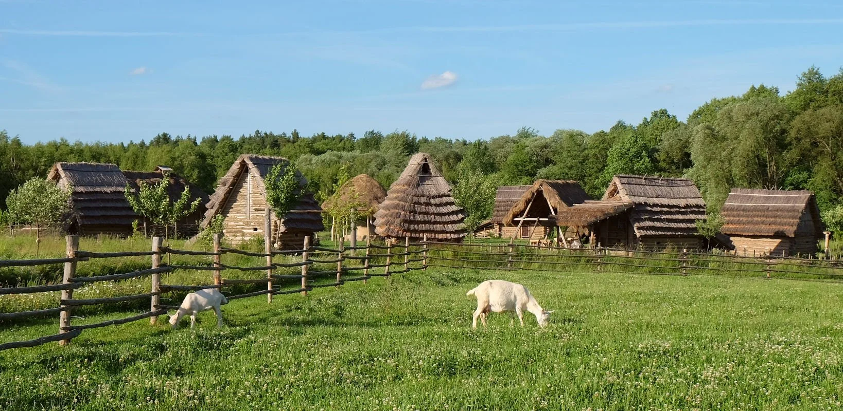 Zemeraj Nature Adventure Park
