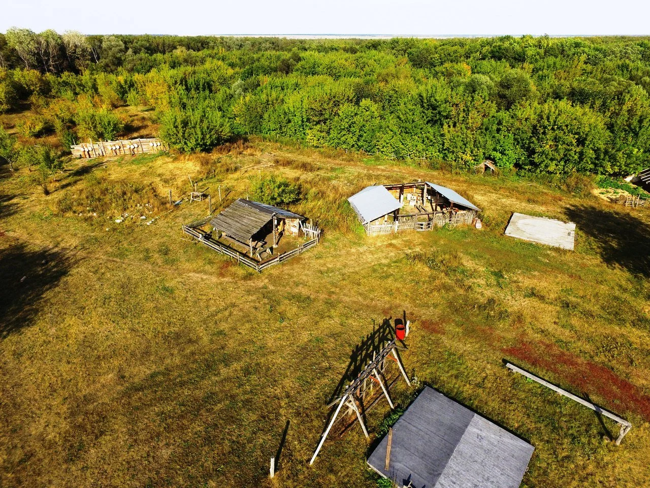 Drevniy Mir - Ancient World