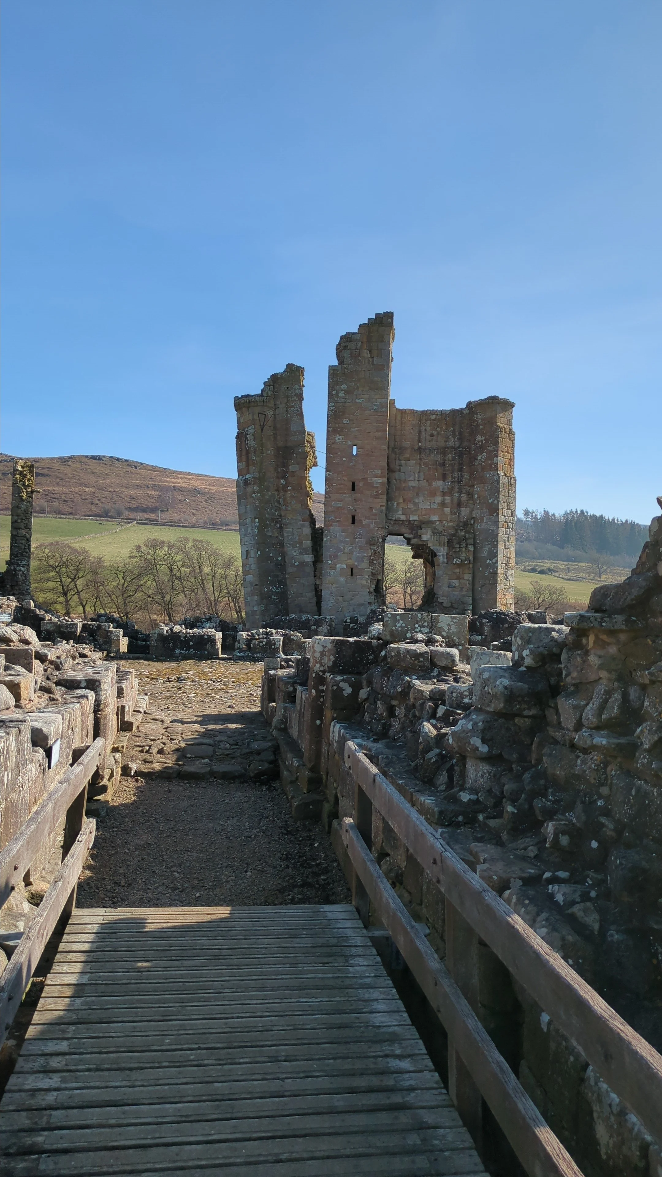 IMG-20250320-WA0016 - Alexander Iles (1).jpeg