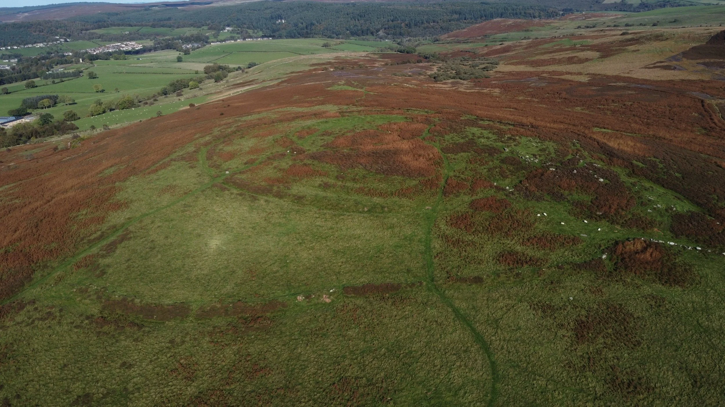 DJI_0844 - Alexander Iles.JPG