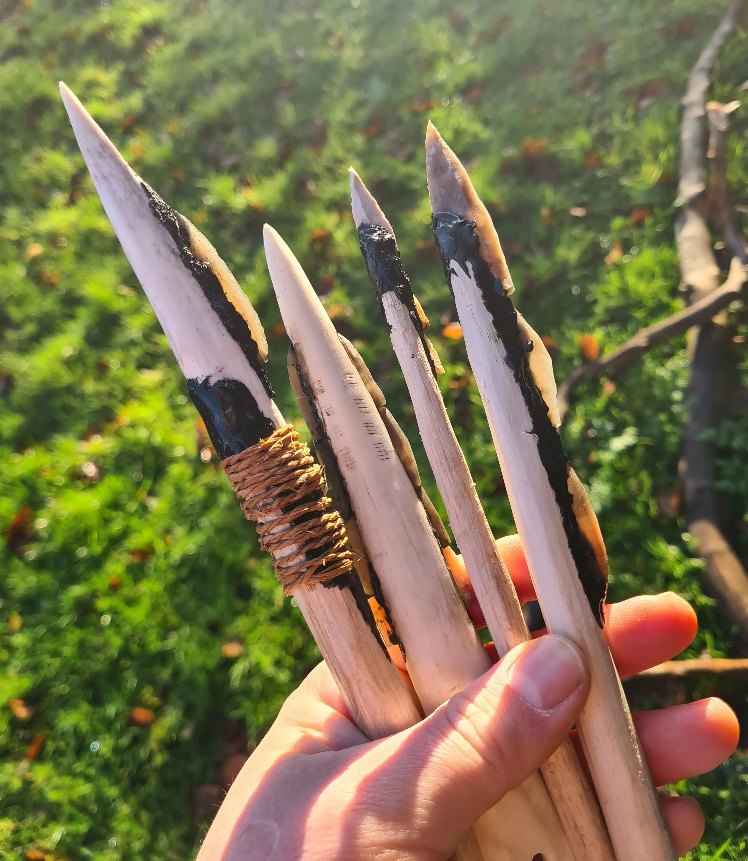 slotted-points (1).jpg