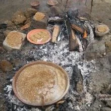 06Fig 7 (Medium).jpg