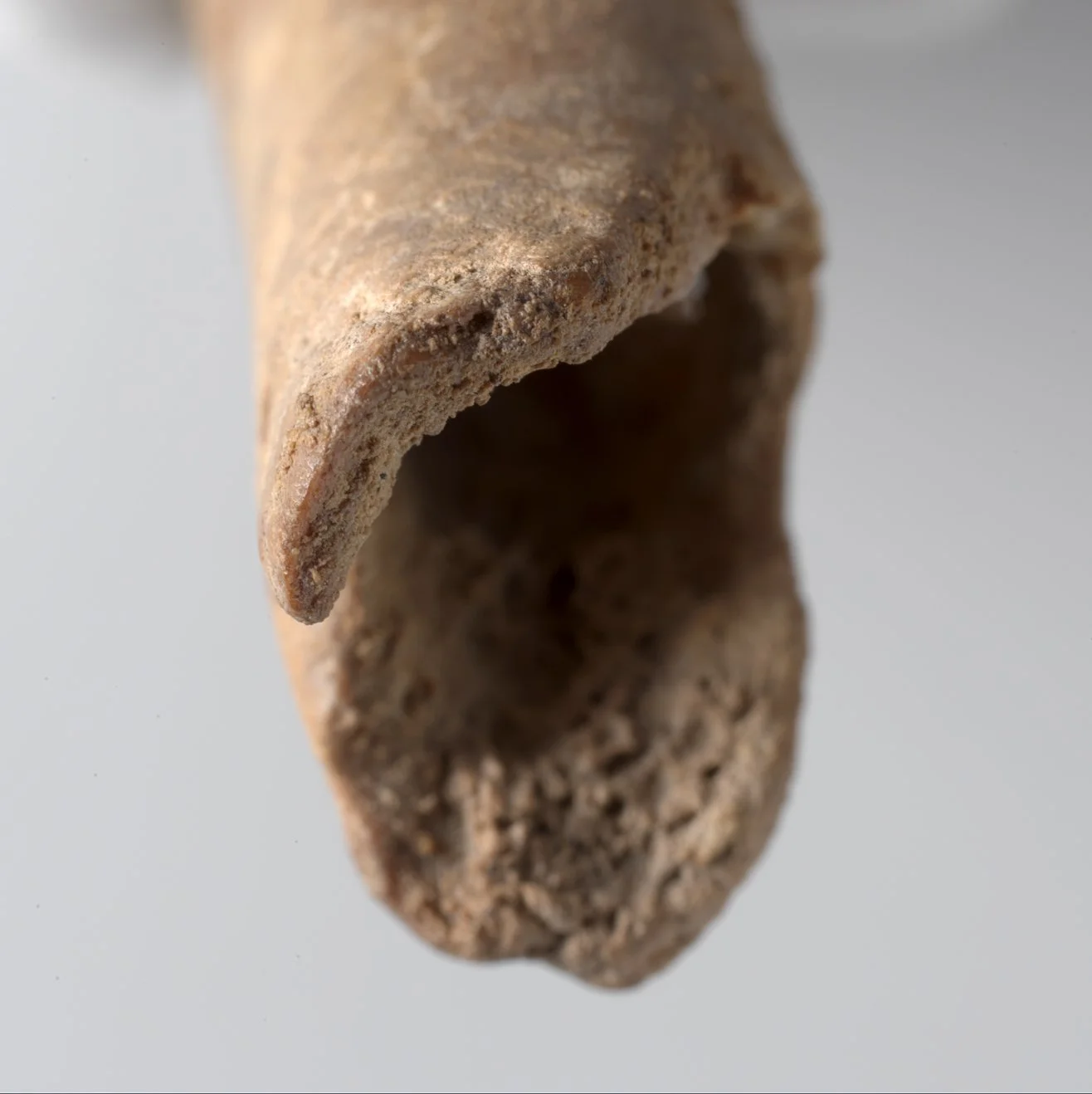 Call for Papers: Current Studies on Archaeological Worked Bone Heritage