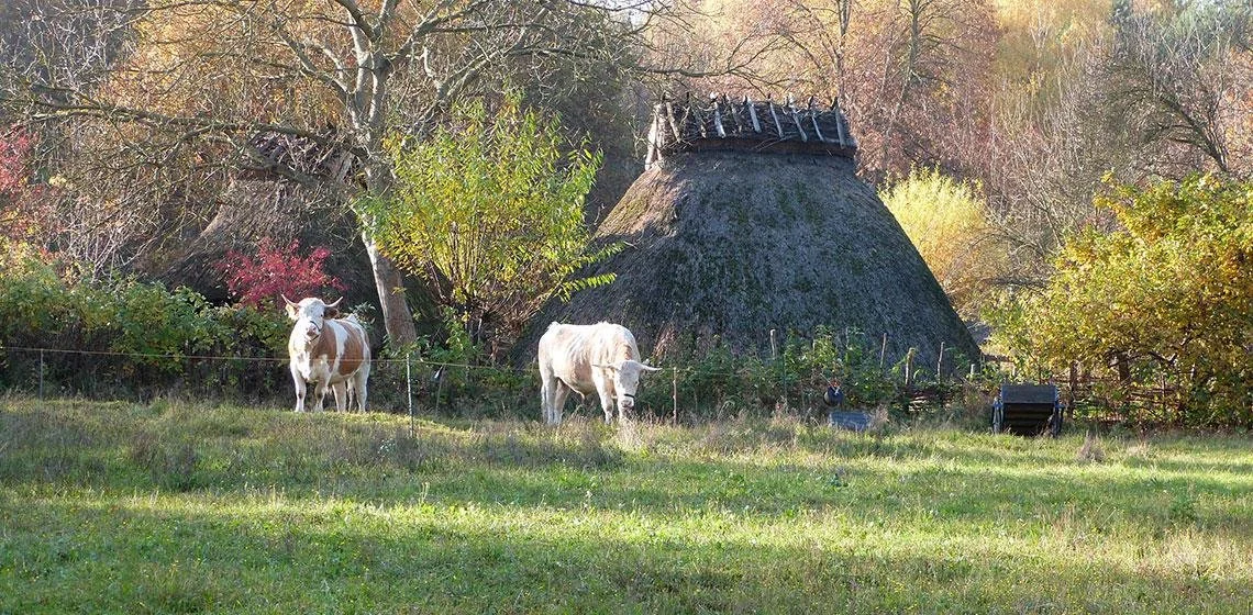 Museumsdorf Düppel – Stiftung Stadtmuseum Berlin