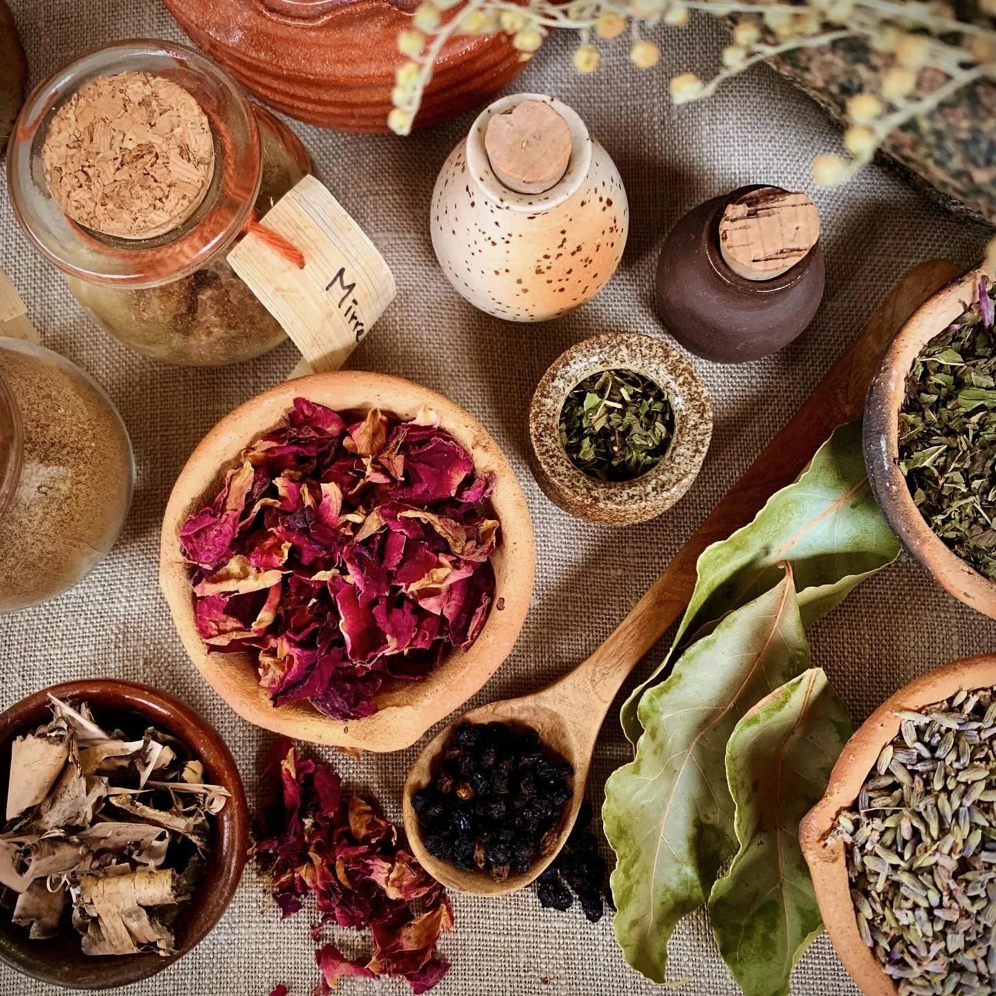 09E0FC88-875E-436C-9A37-293E062F4534 - Dorothee Olthof.jpeg