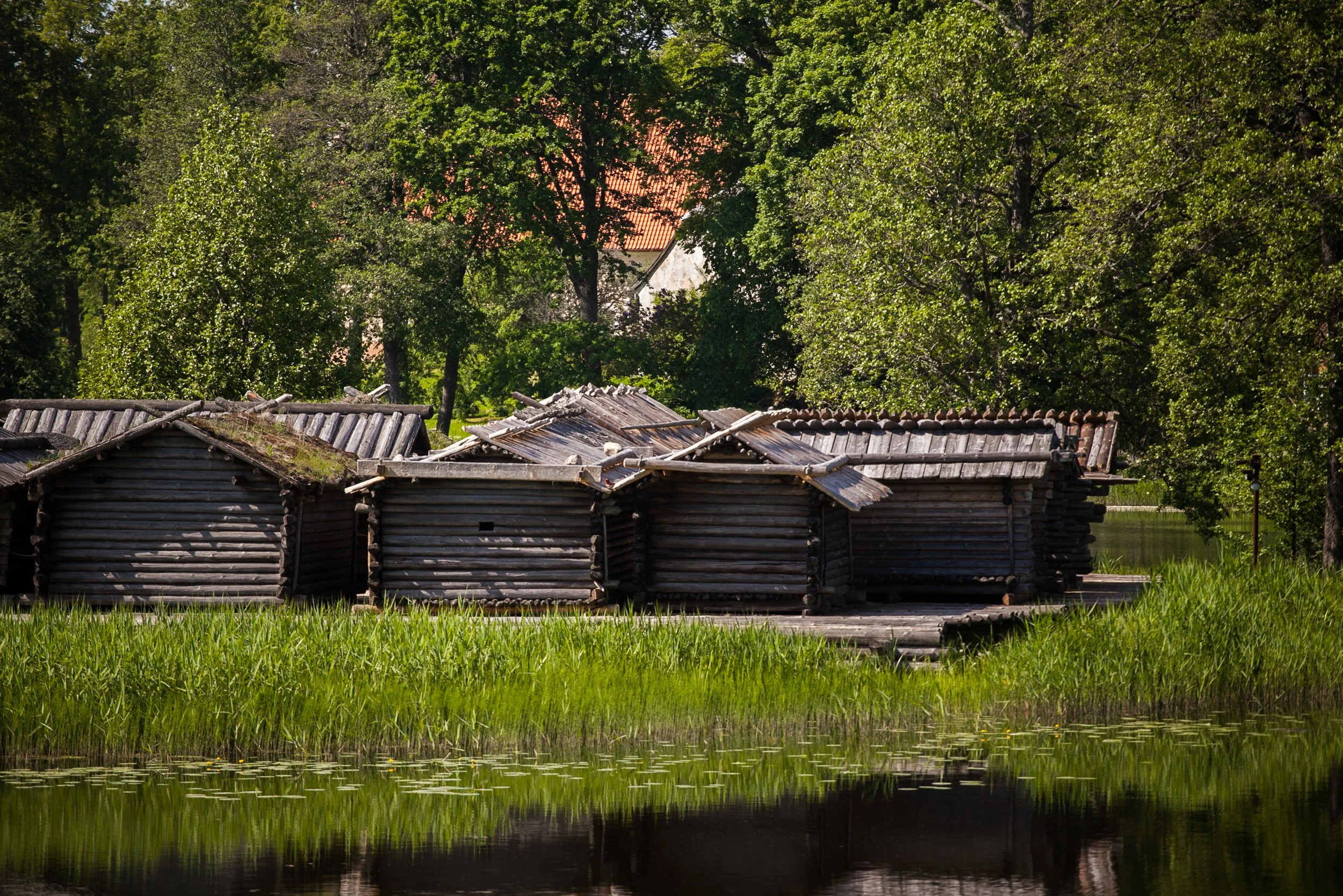 _IMG_0092 - Āraišu ezerpils Arheoloģiskais parks (2).jpg