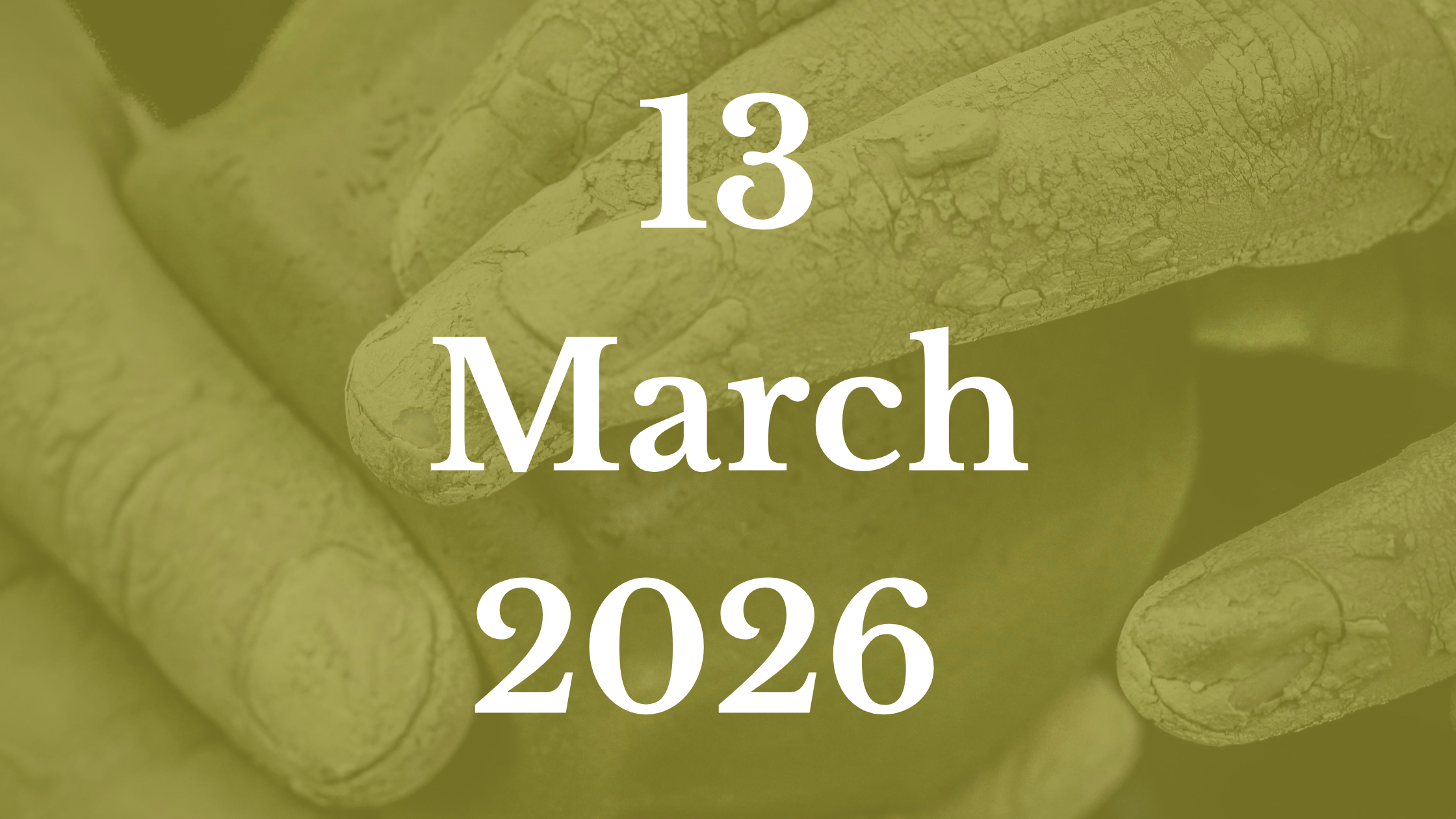 Conference | Living in a wetland landscape: the late Neolithic Vlaardingen culture revisited.