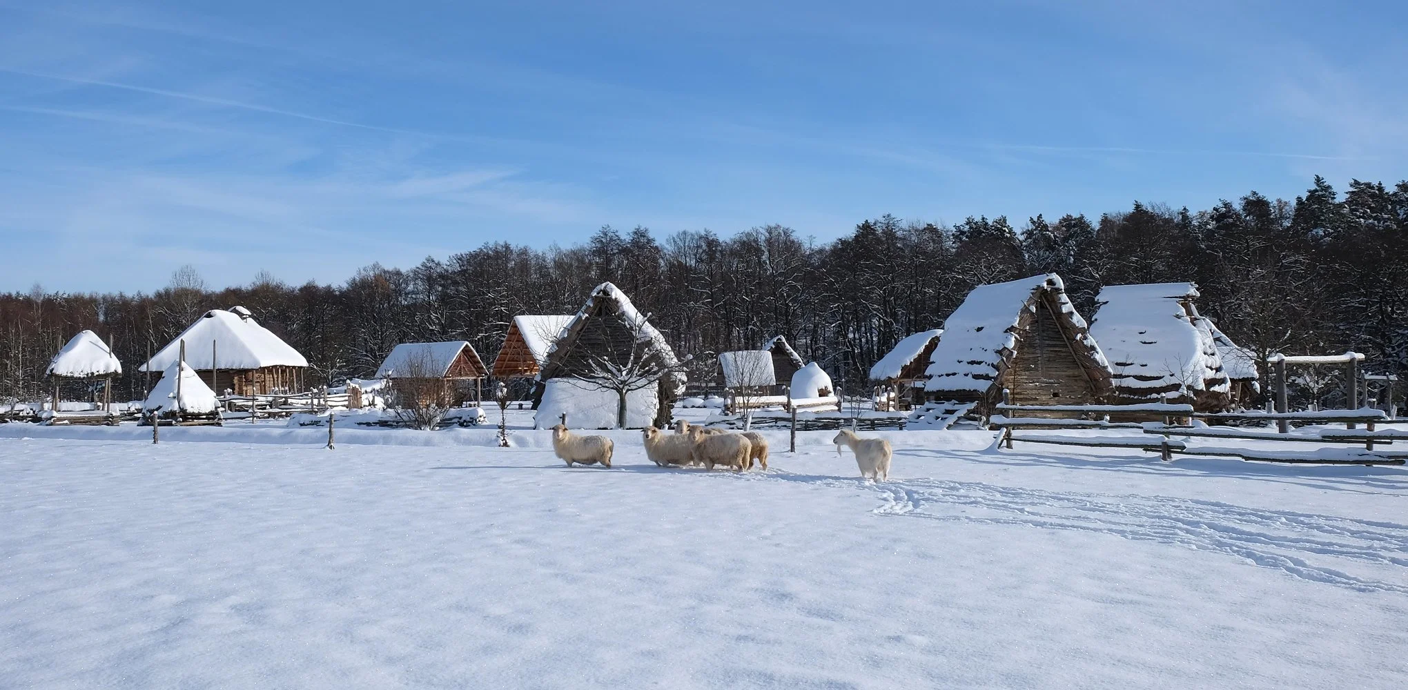 Save the Date: EXARC Annual General Meeting on 29 April