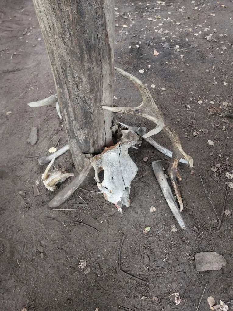 20251006_113302 - Martyn Sorge.jpg