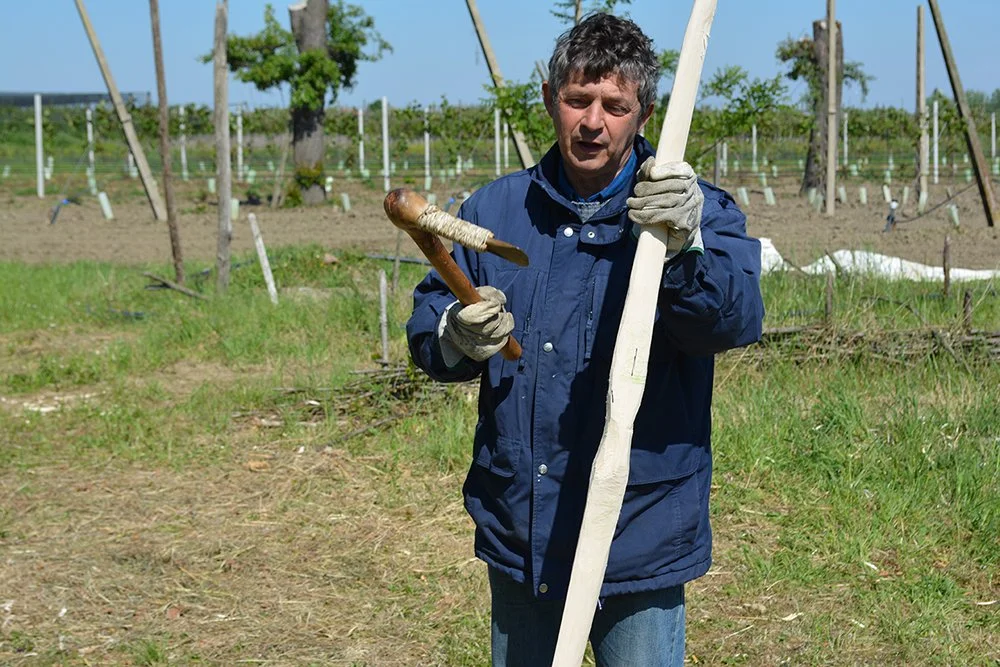 bow - Maurizio Cattani.jpg