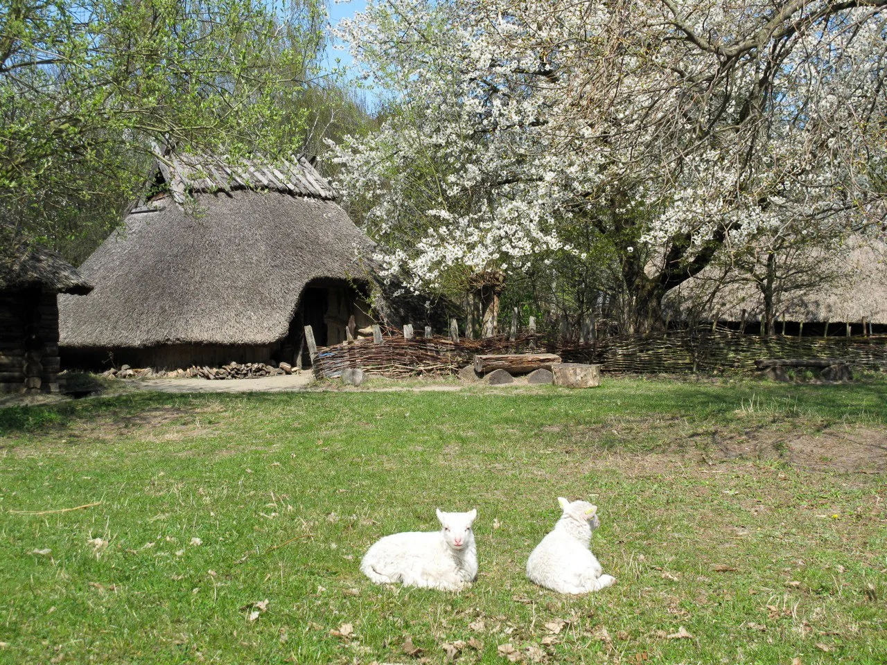 Two Vacancies at Archaeological Open-Air Museums in Germany