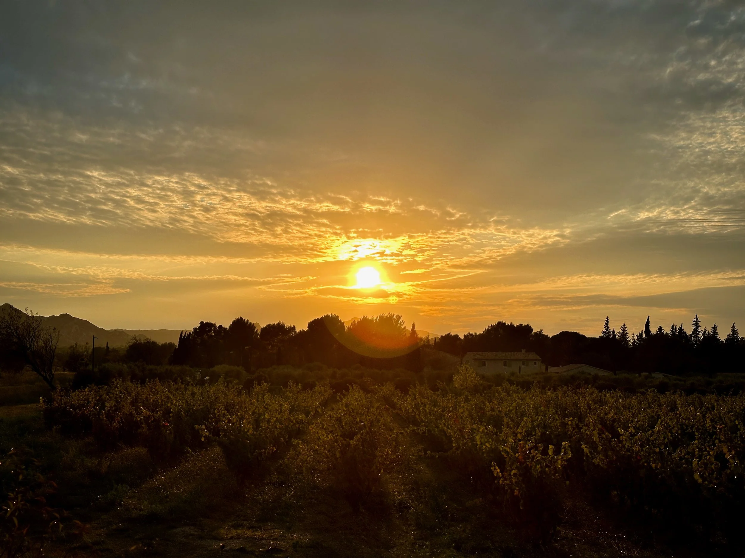Timber tiny home on raised bases with wood-fibre build-up for summer comfort.
