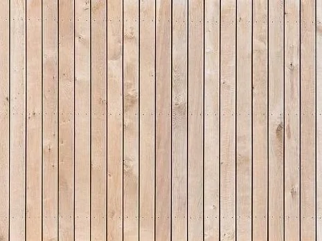 Timber-clad exterior of a modern tiny home designed to weather naturally.