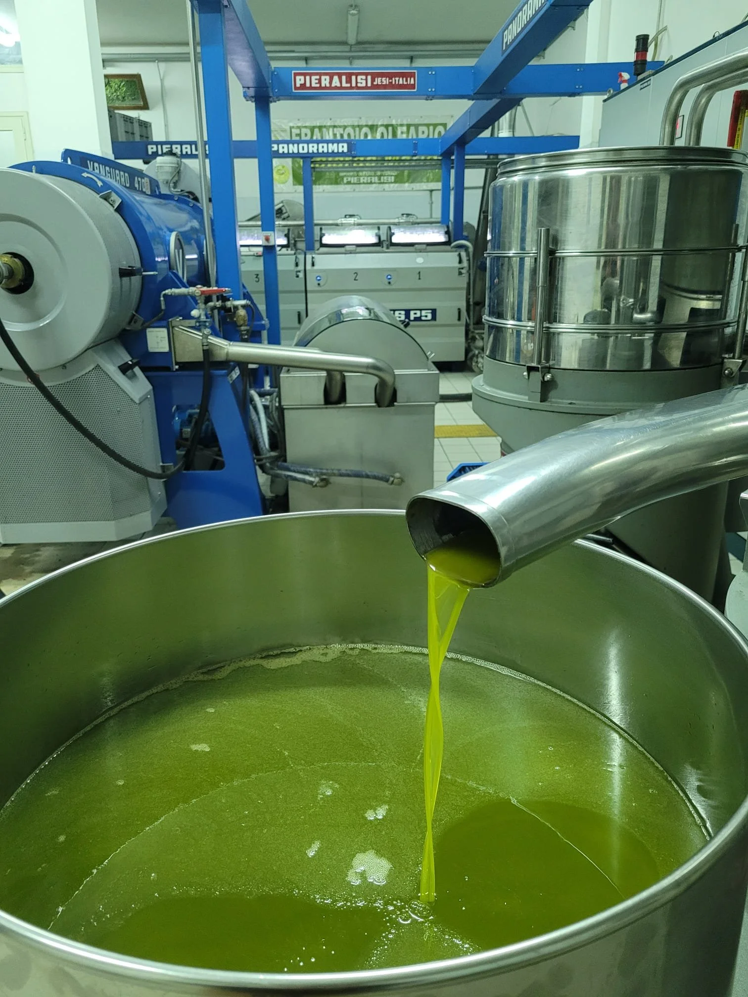 Ed ecco il culmine del nostro lavoro: un getto continuo del nostro olio extra vergine, dal colore verde brillante e dal profumo inconfondibile. Questo è il risultato della passione, della cura e della tradizione che mettiamo in ogni fase, per offrirt