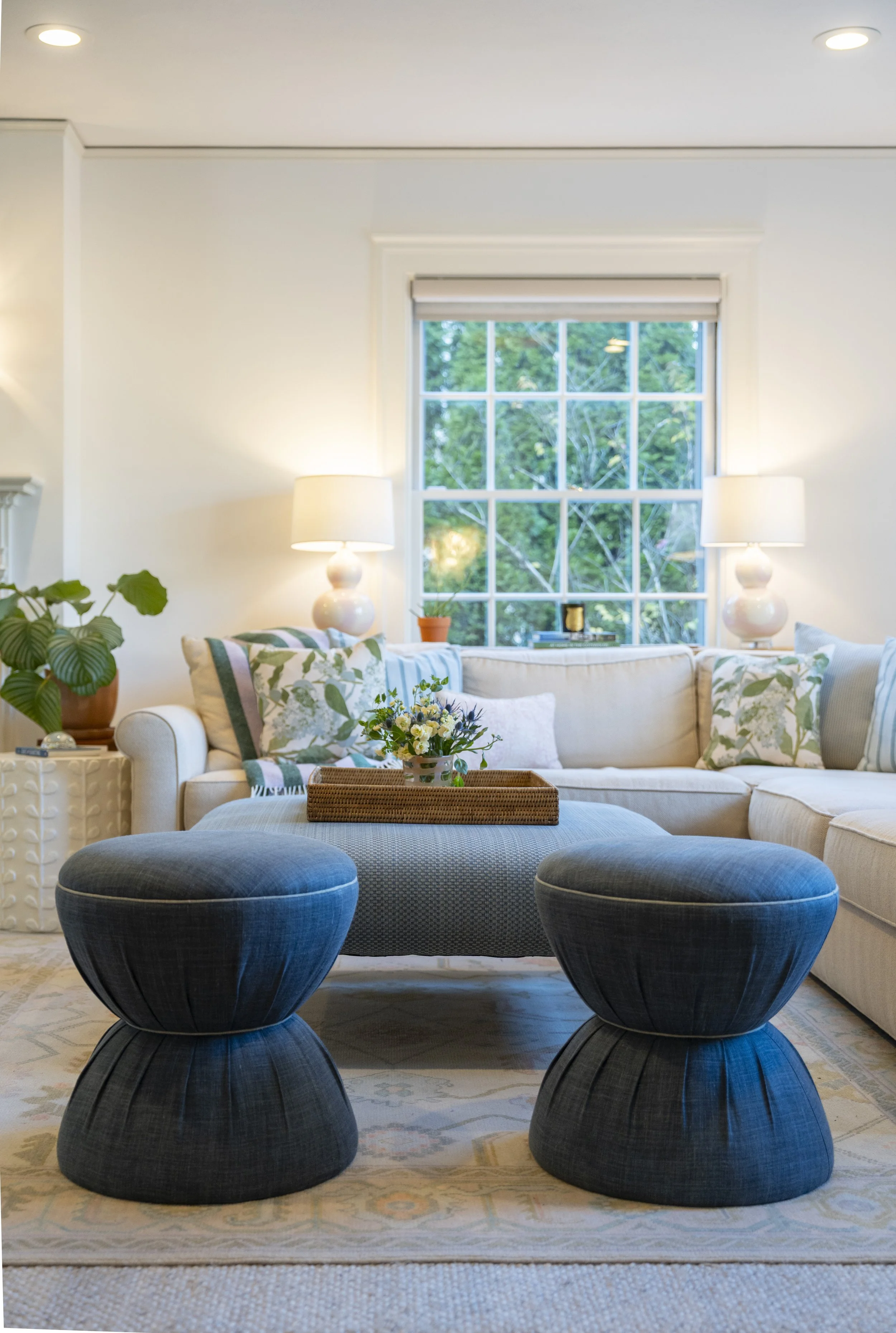 living room styled by bloom and dillier interiors.JPG