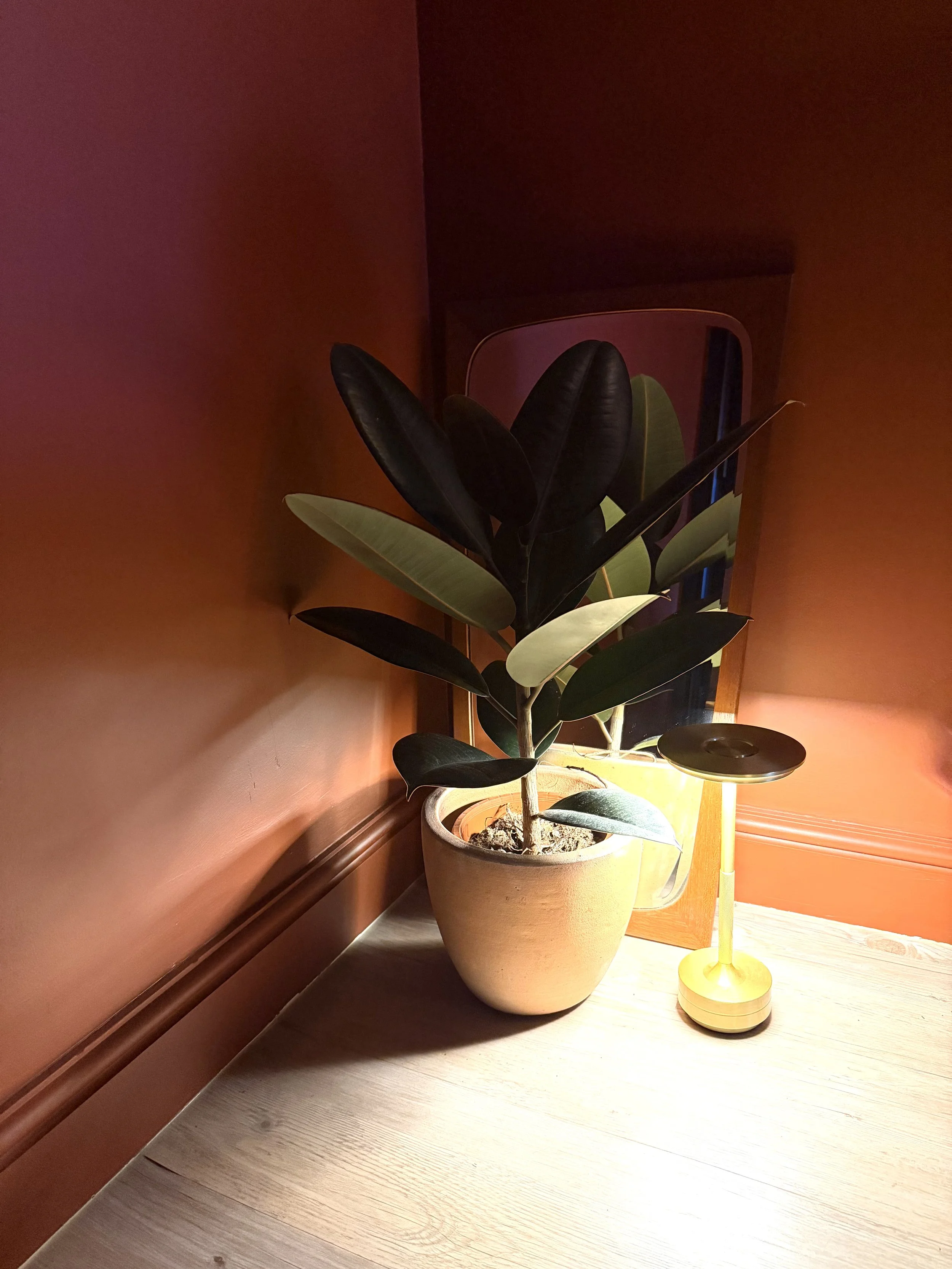 lymphatic-drainage-massage-harpenden-house-of-fina