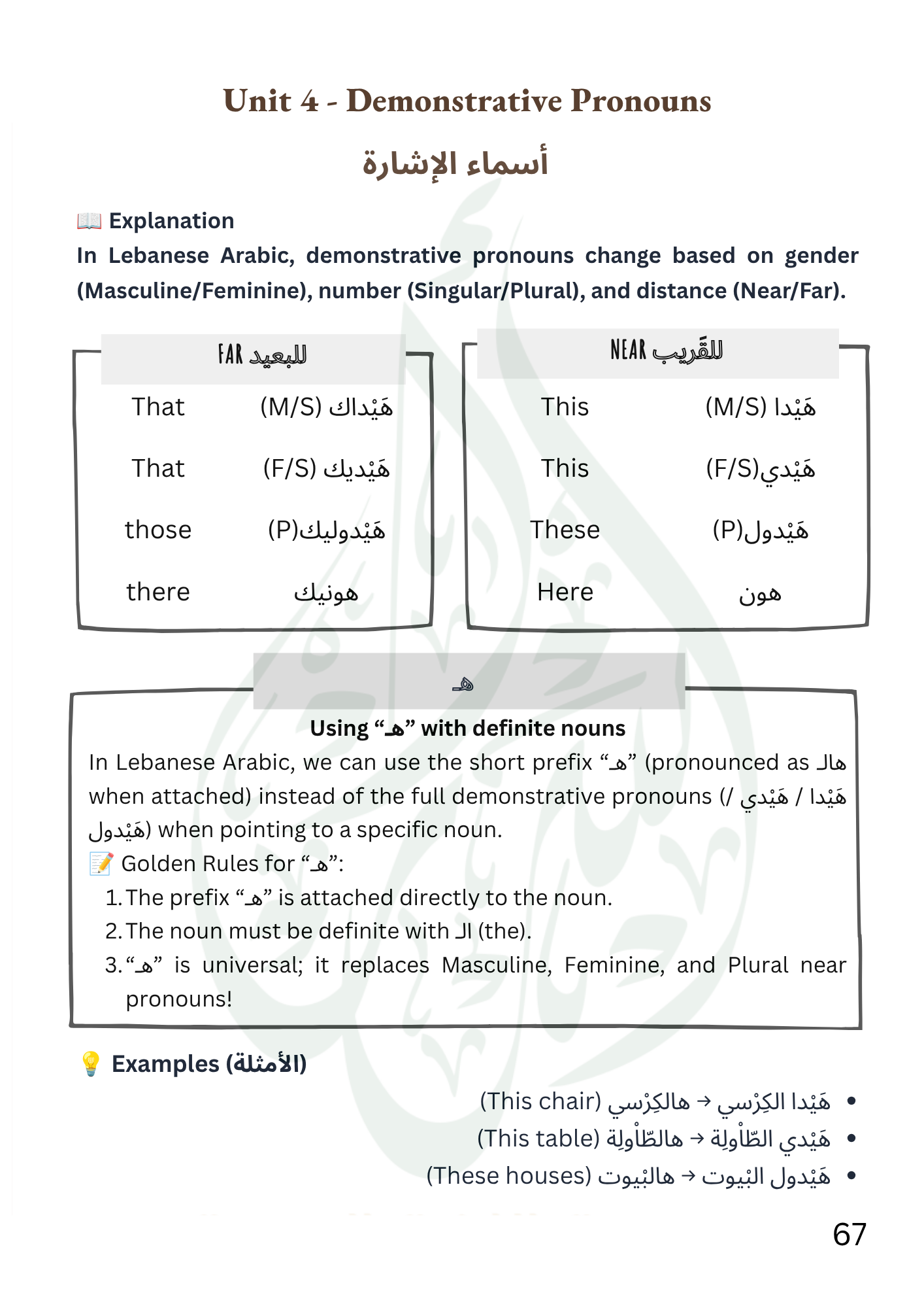Demonstrative pronouns