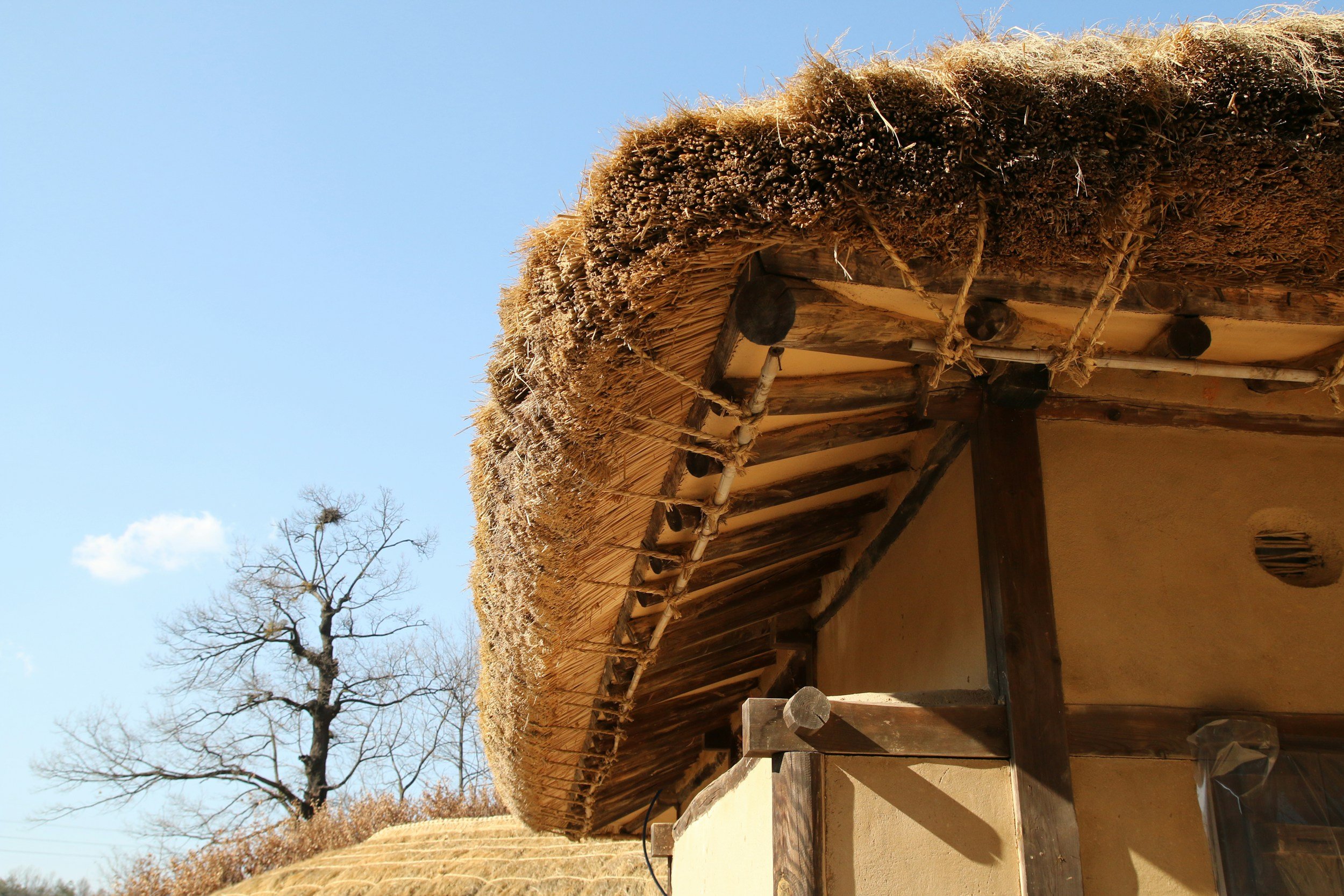 Close-up of a thatched roof made of straw or reeds on a traditional building, with a background of a leafless tree and a clear blue sky.