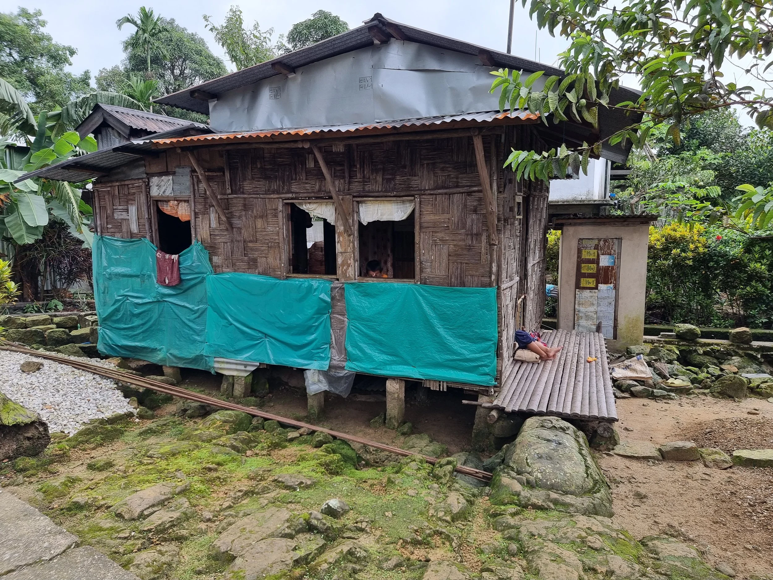 A small wooden house with a corrugated metal roof, built on stilts, surrounded by green trees and plants, with a makeshift porch and a person sitting on the porch.
