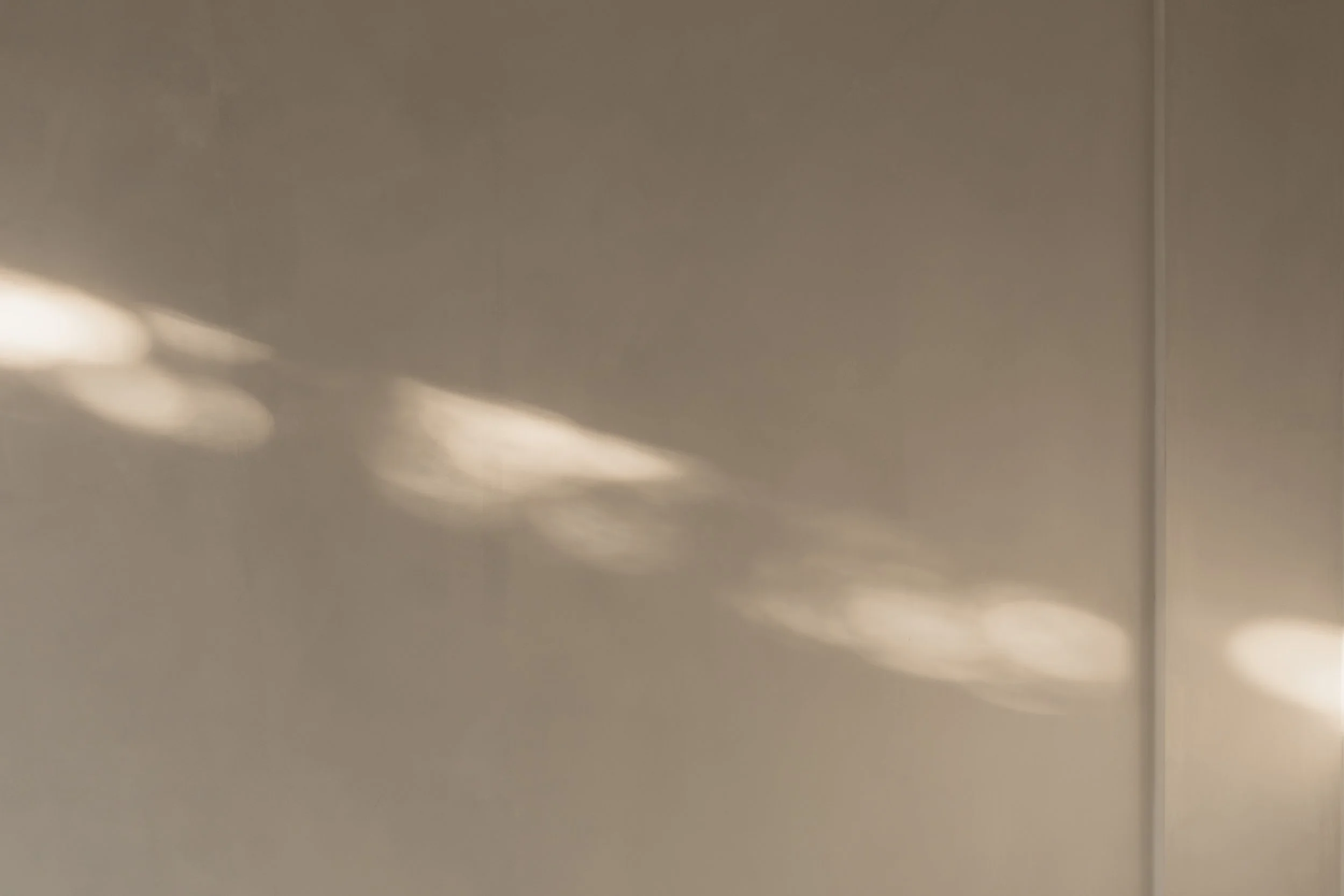 The Power of Stillness in a Noisy World
