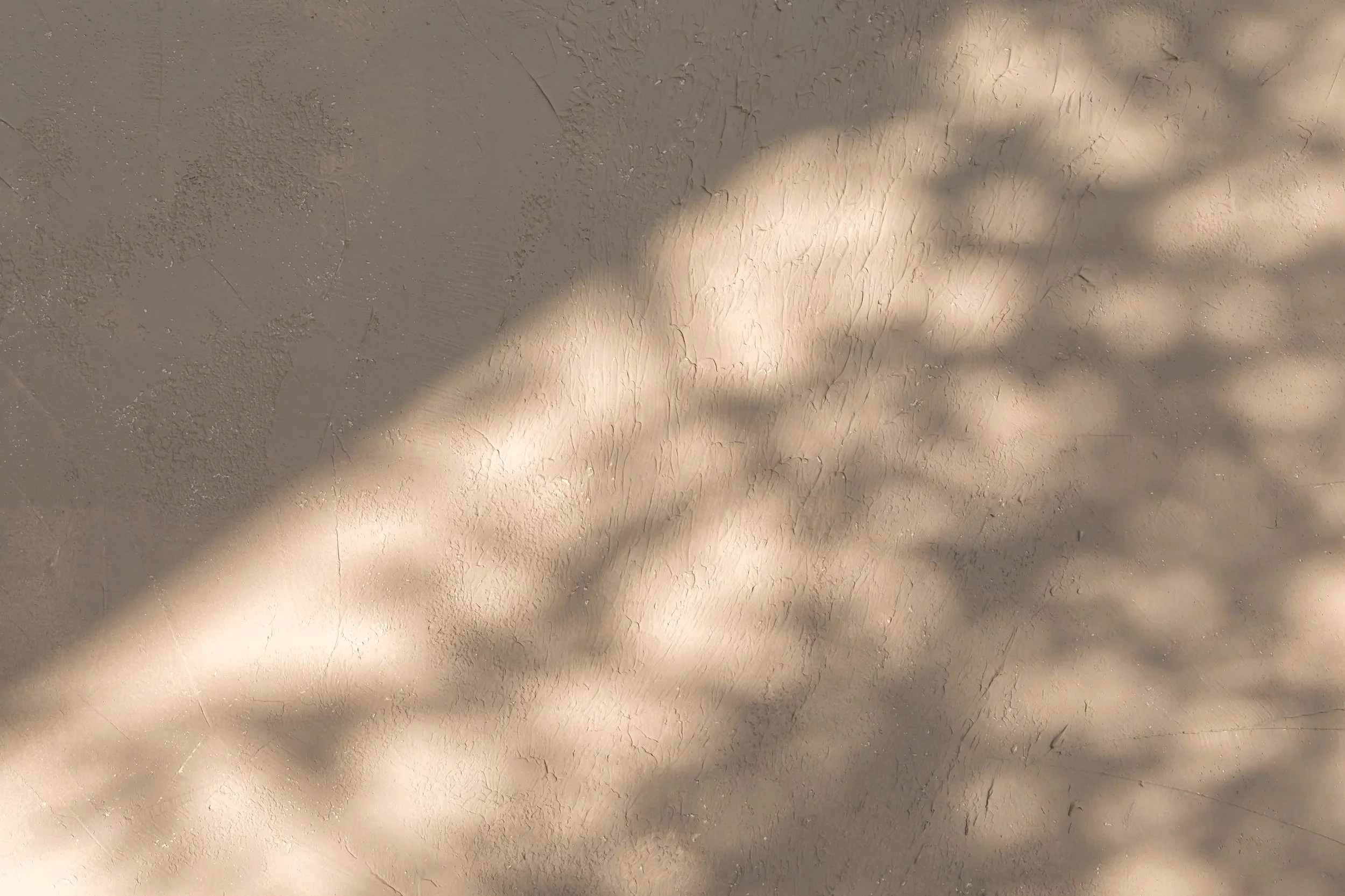 Shadows of leaves cast on a textured beige wall.