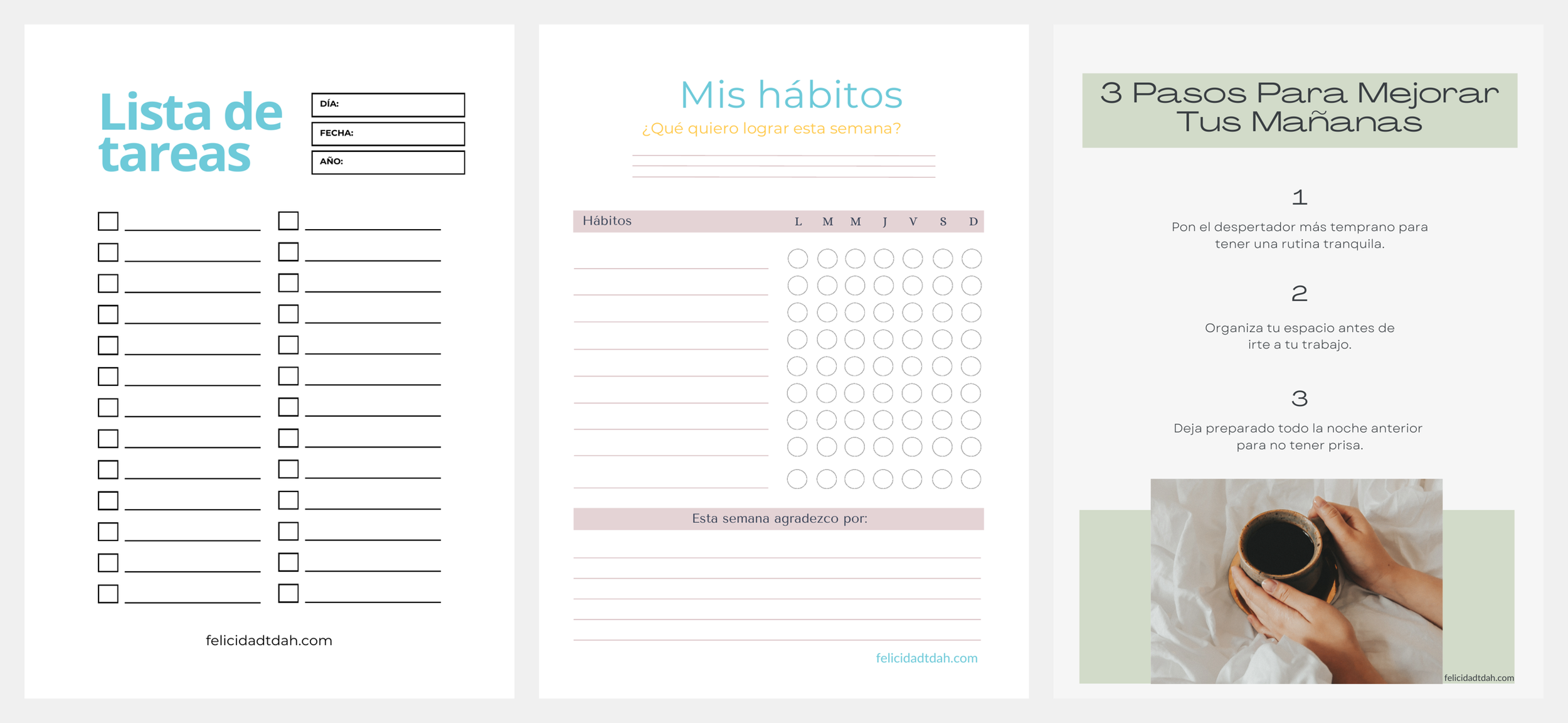 mockup_bonus_3.png