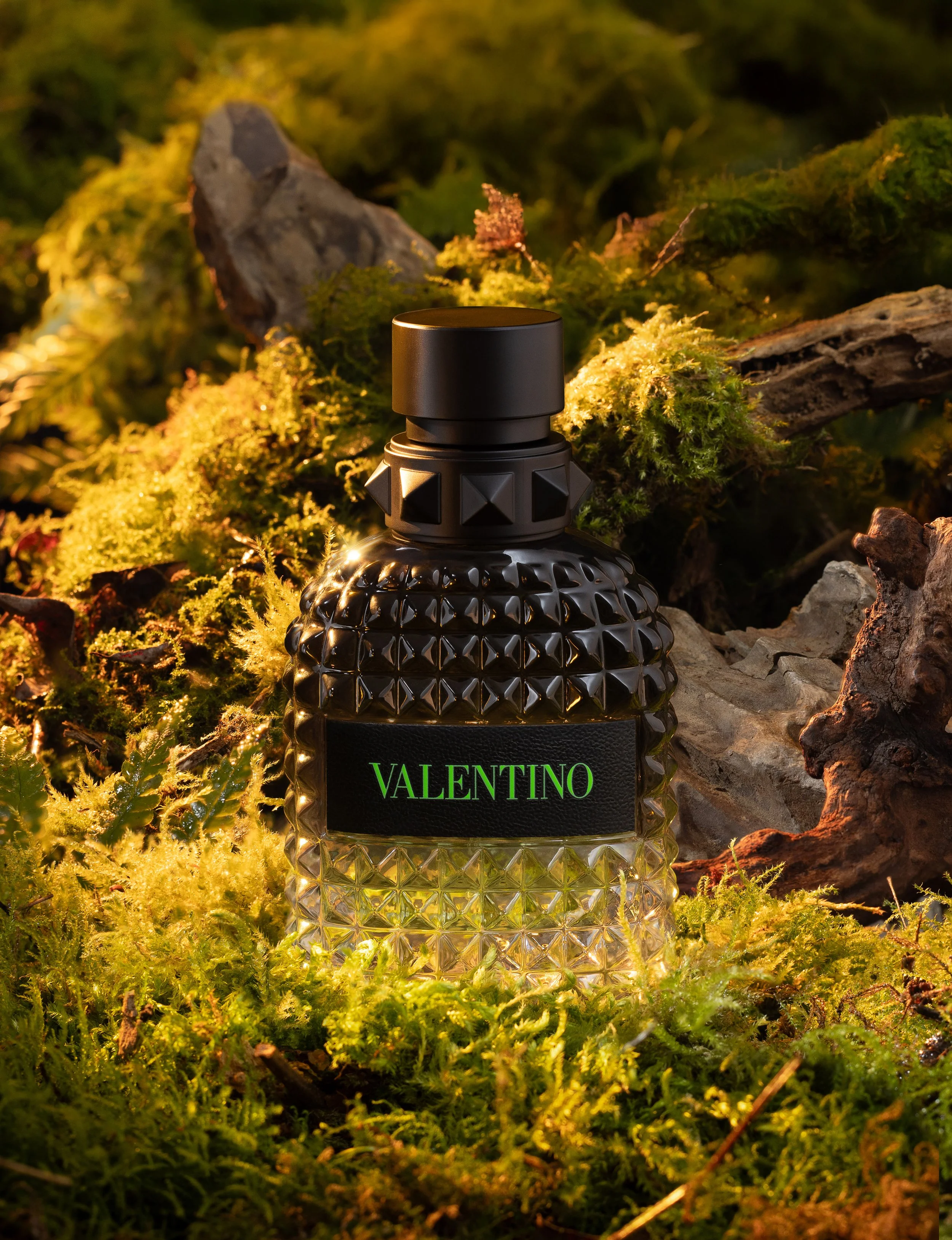Valentino 1v2.jpg