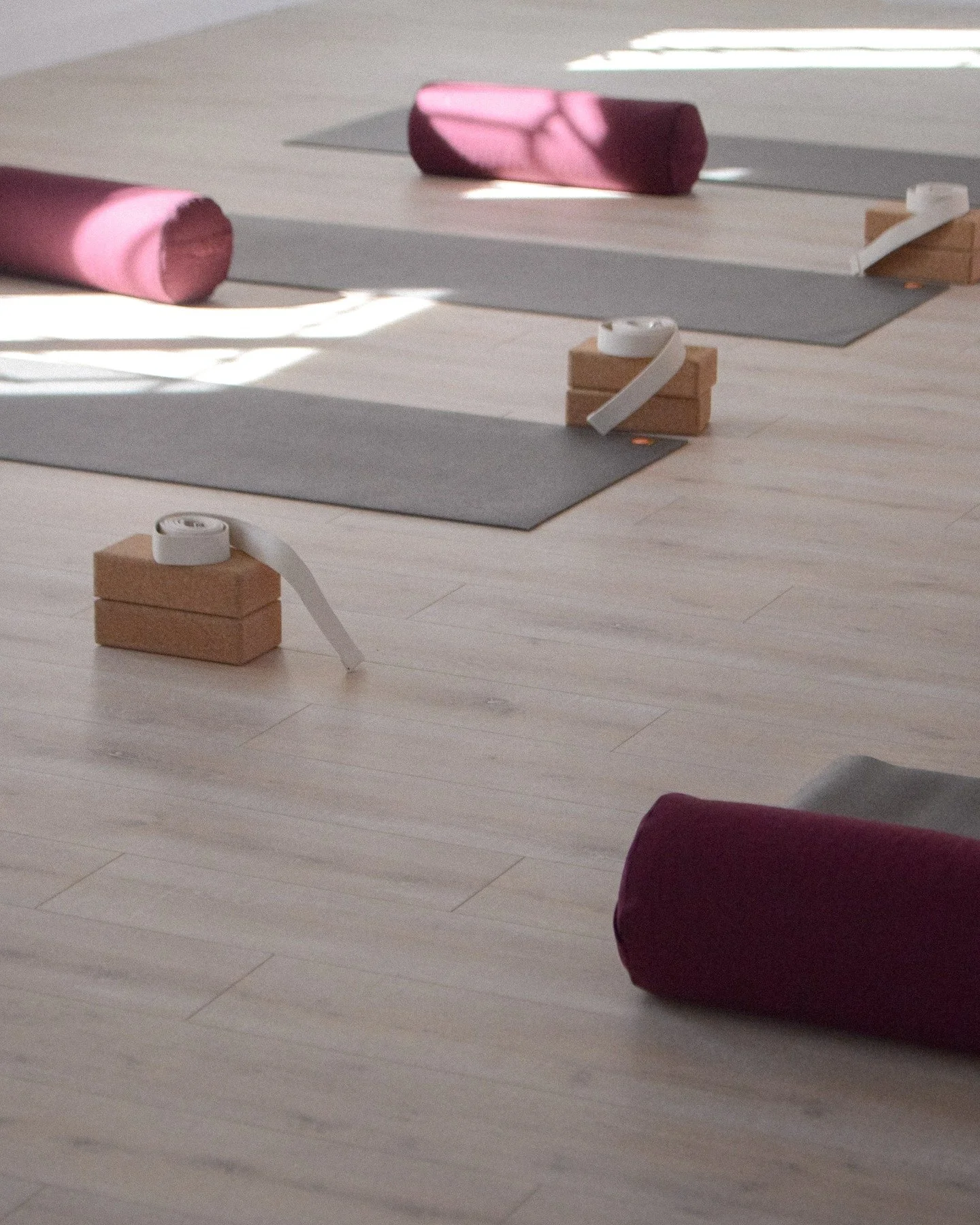 Votre espace de pratique ✨

Au studio du Lac nous aimons vous accueillir avec le coeur, chaque d&eacute;tail ou intention est tourn&eacute;e vers votre bien-&ecirc;tre 🫶🏻

🧘🏻&zwj;♀️ Mat&eacute;riel &agrave; disposition : briques, sangles, bolster