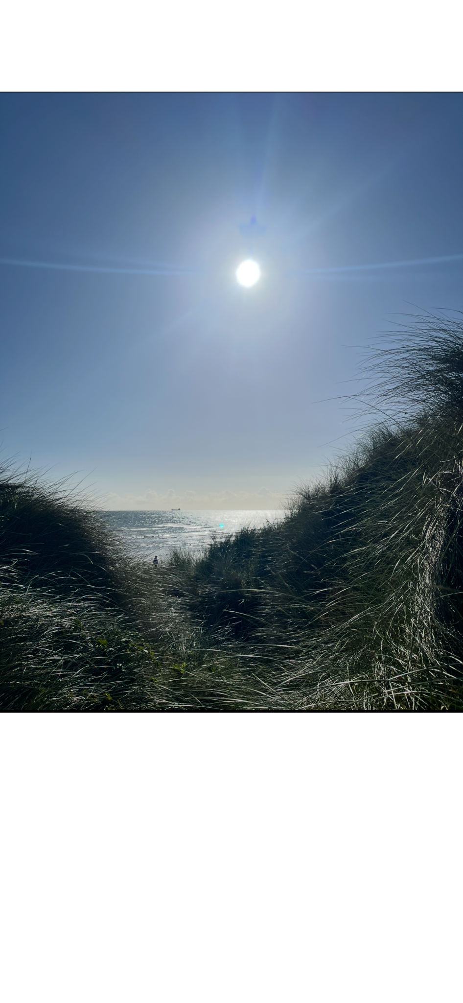 Sunny beach scene with tall grass leading to the ocean, bright sunlight in a clear sky, and a boat in the distance.