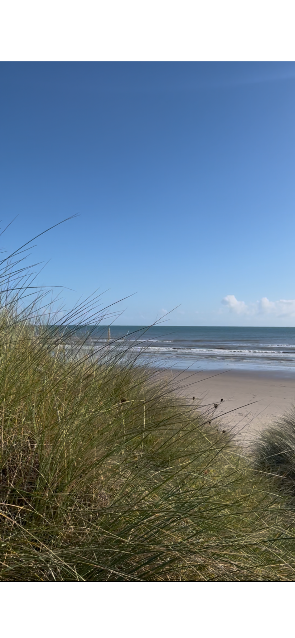 Beach with sand dunes and grass in the foreground, ocean waves in the middle, and a clear blue sky with sparse clouds in the background.