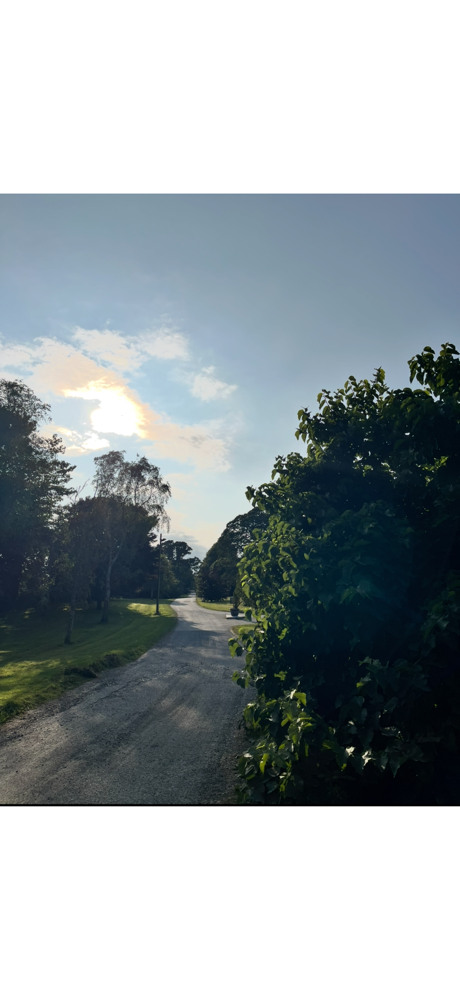 A rural dirt road lined with trees on both sides, with a grassy area on the left, stretching into the distance under a partly cloudy sky with the sun shining through clouds.
