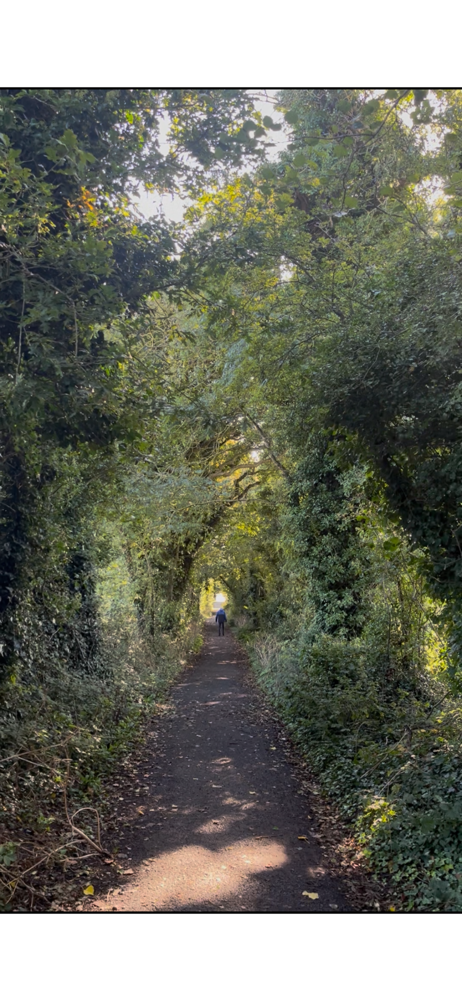 A person walking along a dirt trail through a dense, green forest with arching tree branches overhead and sunlight filtering through the leaves.