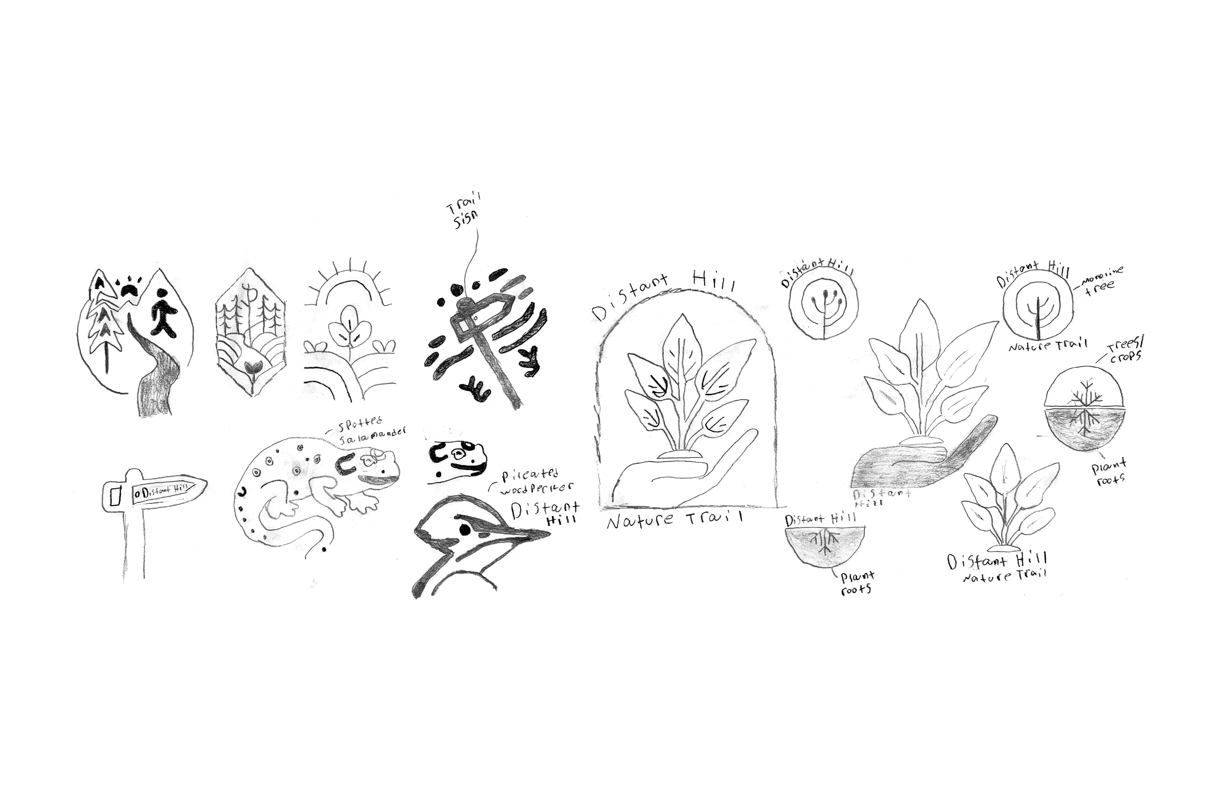 _MONGEON_PORTFOLIO_063020.png