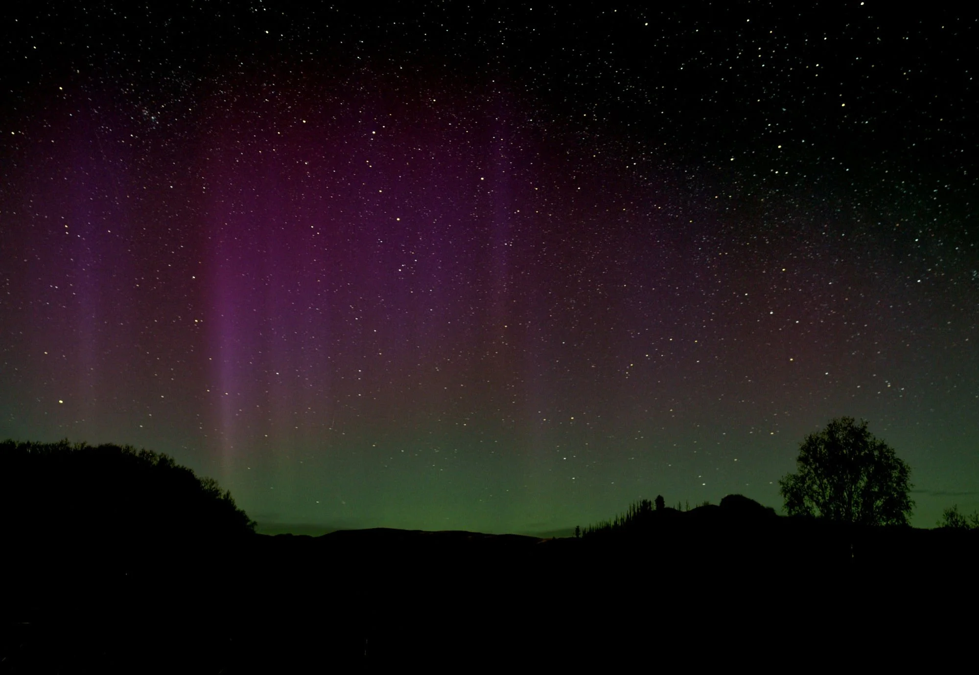 Night sky with numerous stars and faint aurora borealis, with silhouetted trees and hills in the foreground. Northern lights form the Cambrian Mountains, Mid Wales.