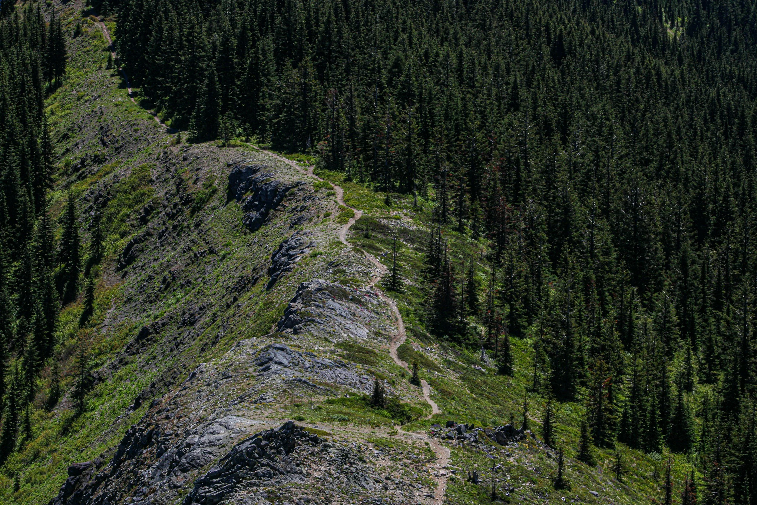 Over a Rocky Terrain
