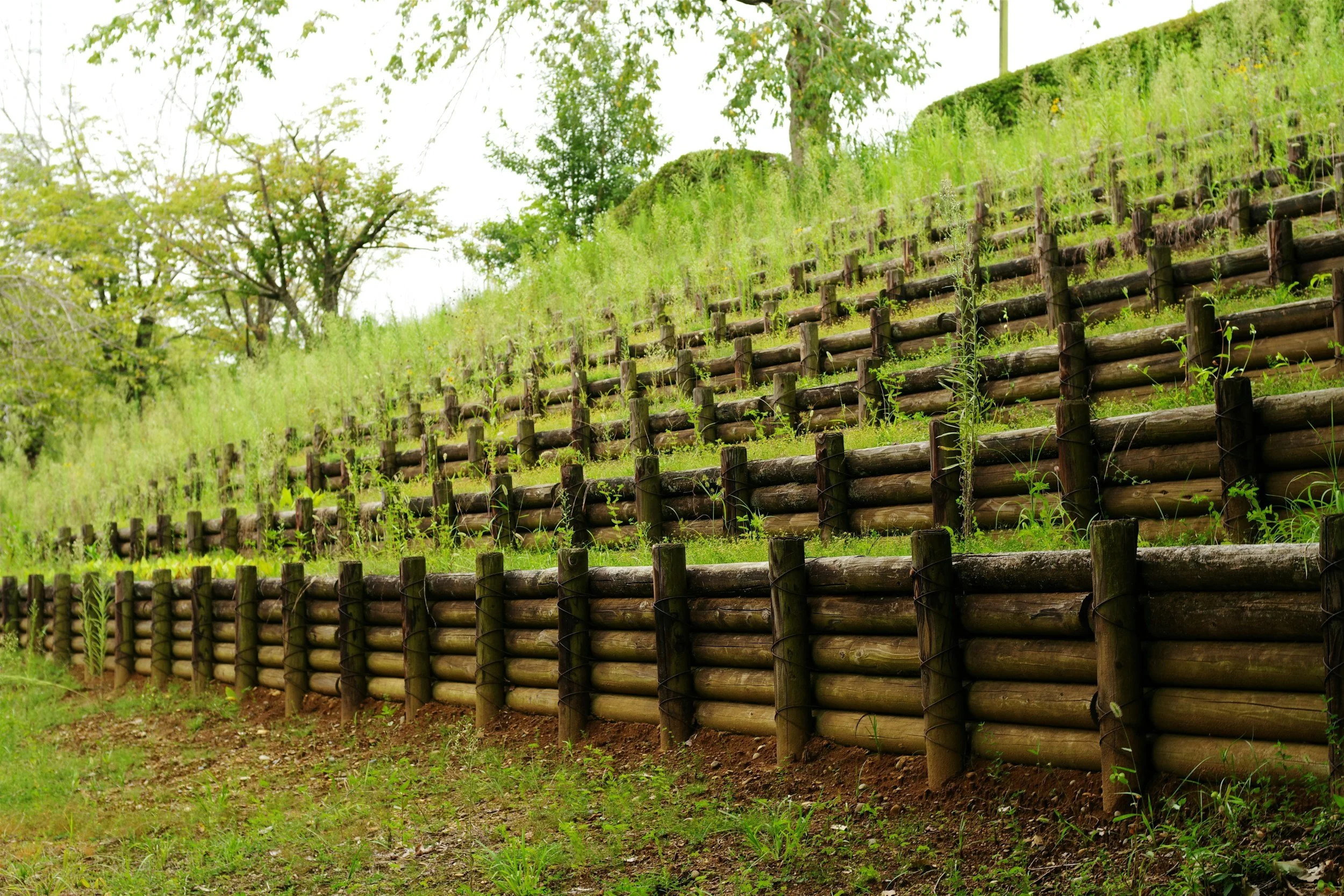Around Fences & Fortresses