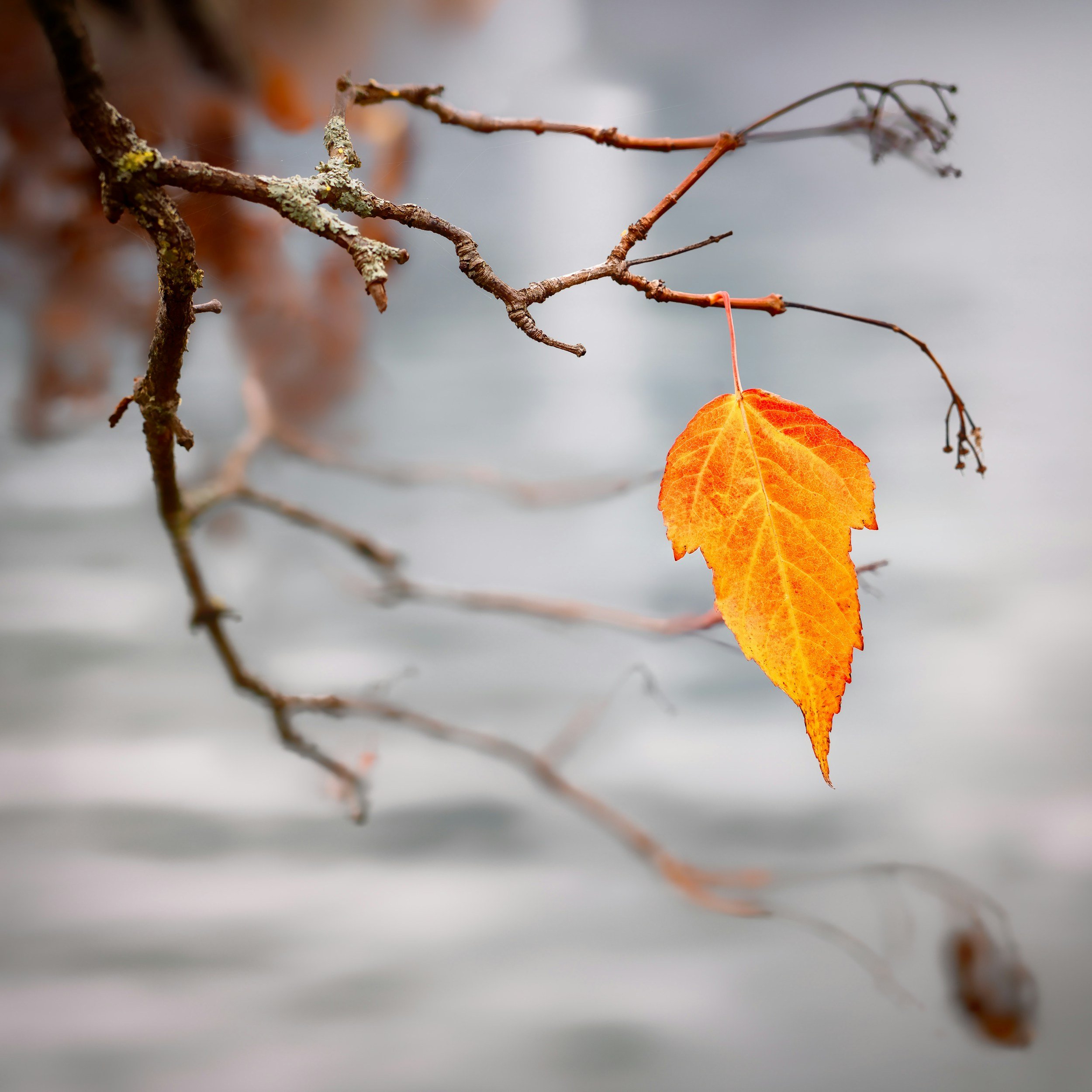 In the Midst of Change