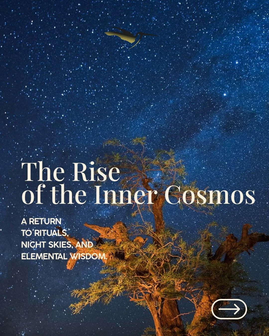 We are returning to the rituals that once held us. Not because they are trendy, but because our nervous system remembers what our culture forgot: silence, moonlight, horizon lines, and the simple medicine of looking up.

From full moon ceremonies to 
