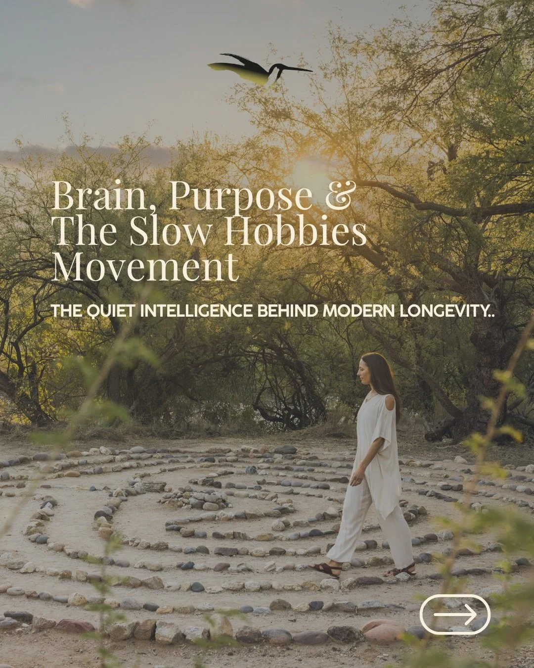 Longevity is shifting. It&rsquo;s no longer about performing more, pushing harder, or optimizing every corner of our lives.
 The new frontier is internal: our brain, our purpose, our emotional rhythm. Slow hobbies, creative rituals, neuroactive movem