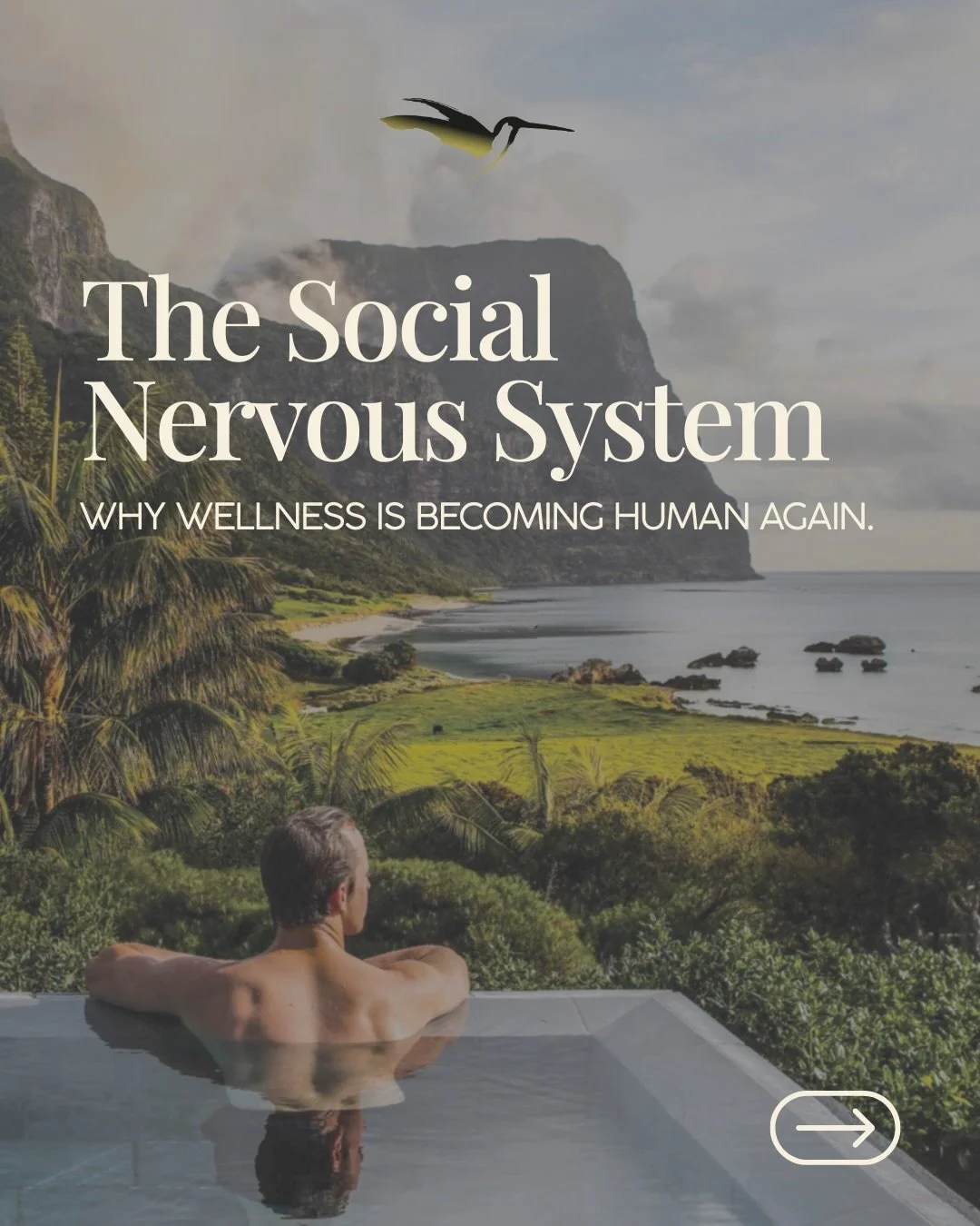 We talk so much about individual wellbeing that we forget a simple truth: humans regulate together. From communal rituals to shared movement, from saunas to family retreats&mdash; wellness is becoming social again. Not as an event, but as a biologica